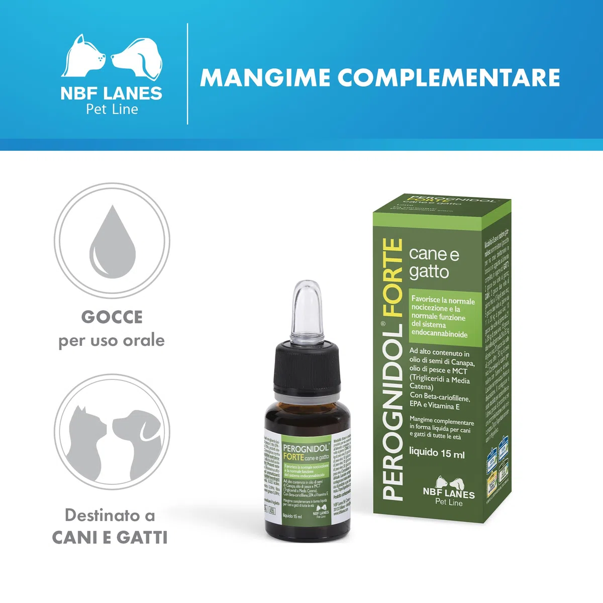 NBF Lanes | Perognidol FORTE Cane e Gatto, Gocce 15 ml, Favorisce la Normale Nocicezione e la Normale Funzione del Sistema Endocannabinoide