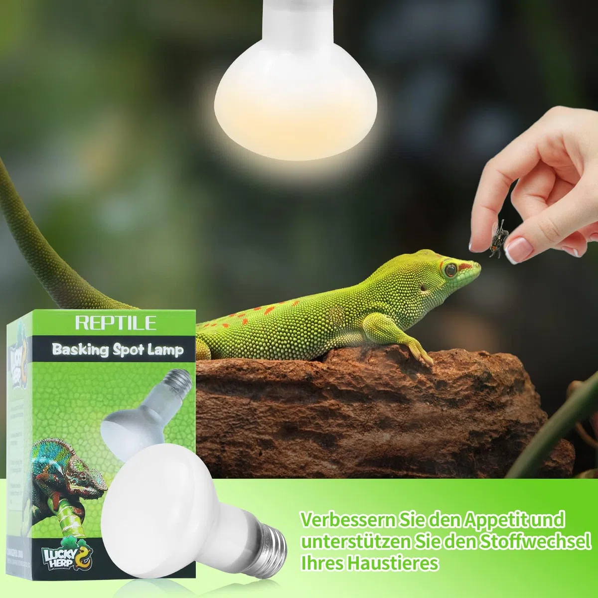 LUCKY HERP Confezione da 2 lampade per terrario, 100 W per rettili, lampada da sole, anfibi, luce diurna, per tartarughe, barba, lucertola