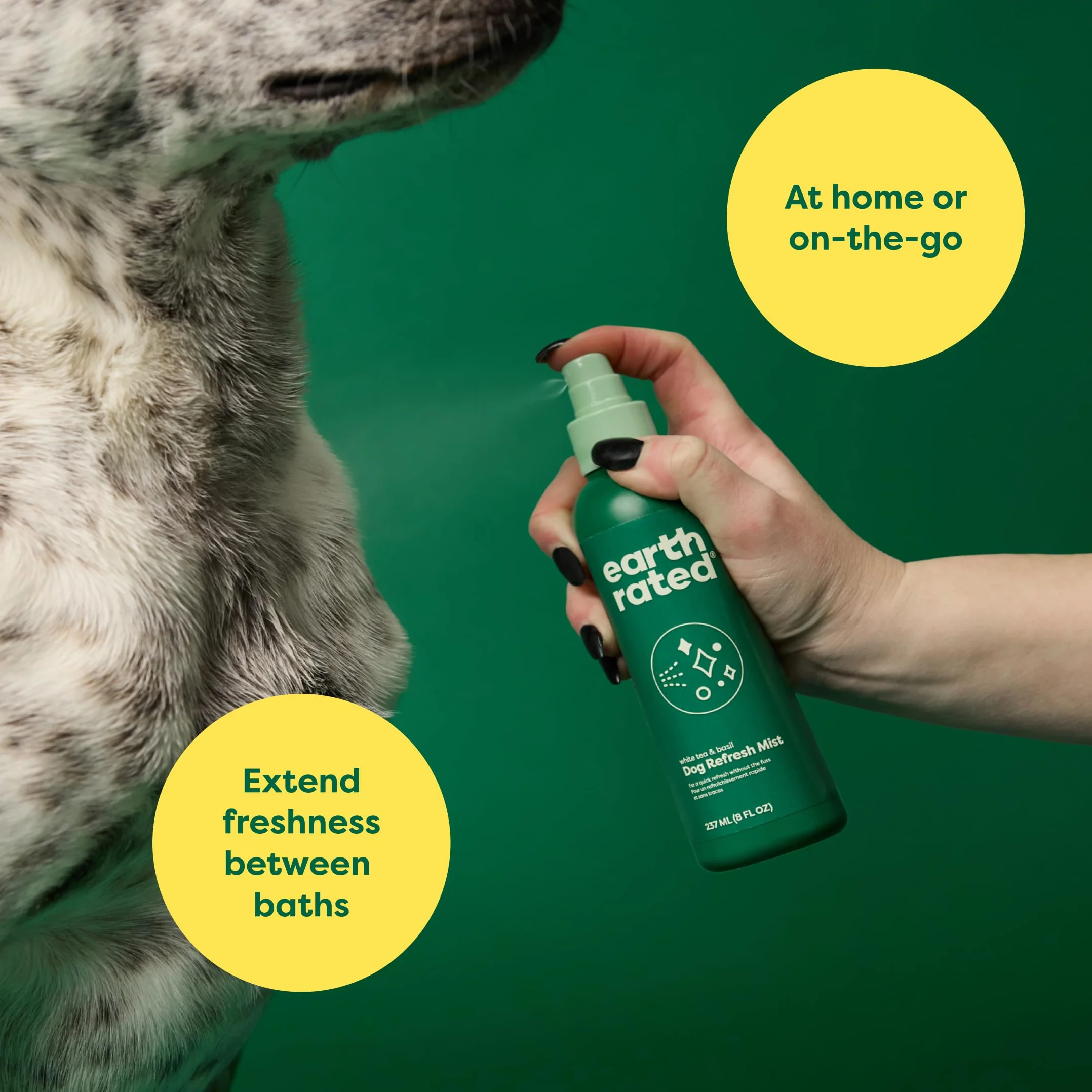 Earth Rated Deodorante spray per cani, balsamo e elimina odori per cani e cuccioli, per tutti i tipi di mantello, profumo rinfrescante di tè bianco e basilico, 8 once.