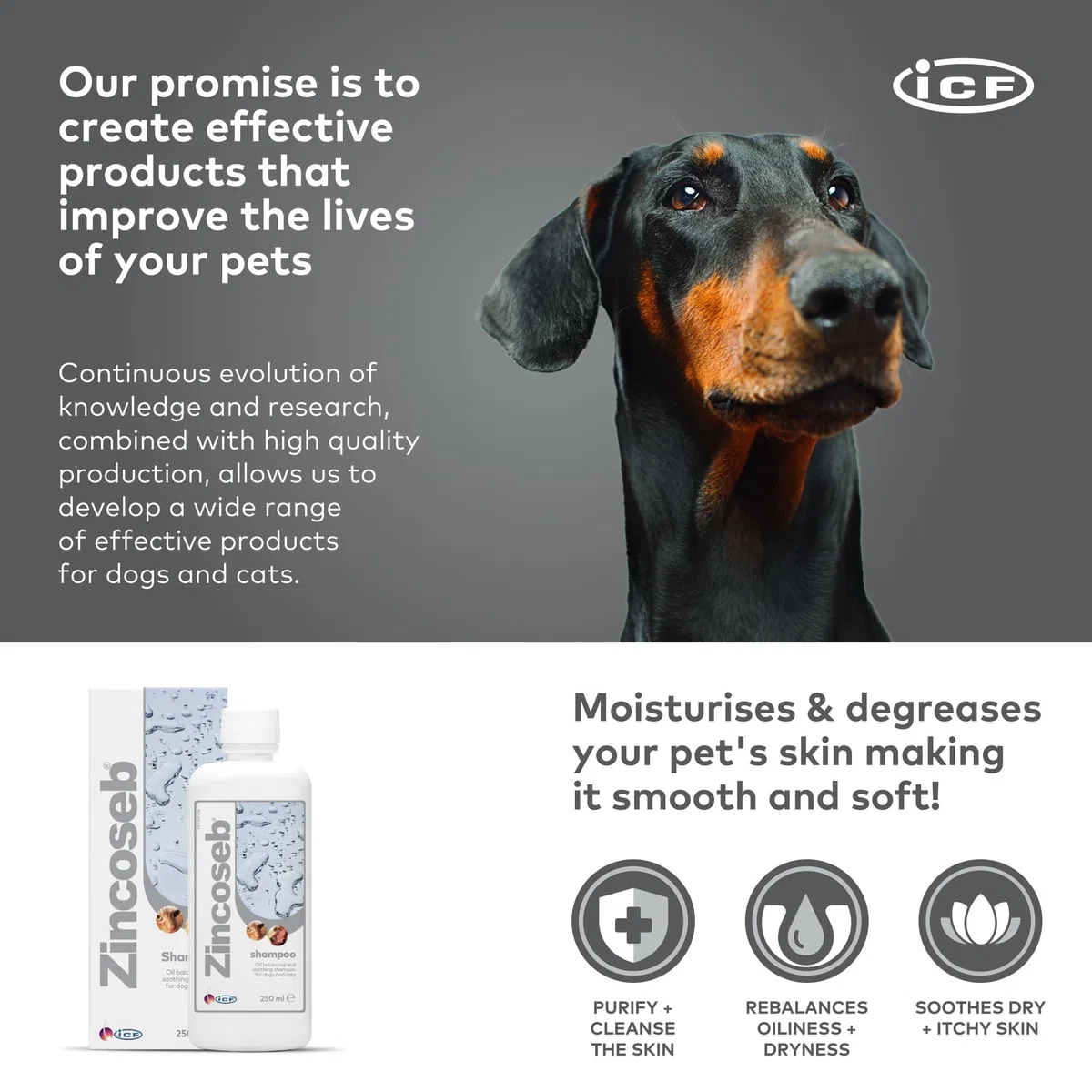 ICF | Zincoseb Shampoo per cani per alleviare il prurito della pelle + antimicotico + antibatterico per cani e gatti | Realizzato per animali domestici con pelle sensibile | 250 ml ICF | Zincoseb