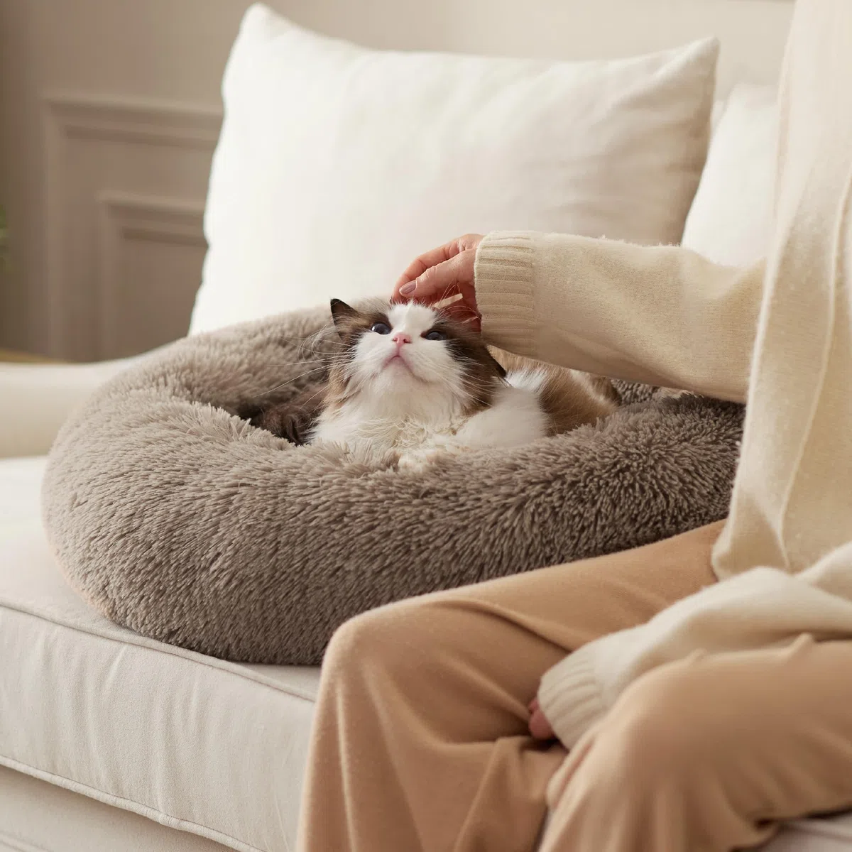 Bedsure Cuccia per gatti lavabile - Ø 50 cm, morbida cuccia per cani, posto letto per gatti e cani piccoli e medi, cuscino rotondo in peluche, letto accogliente, cammello