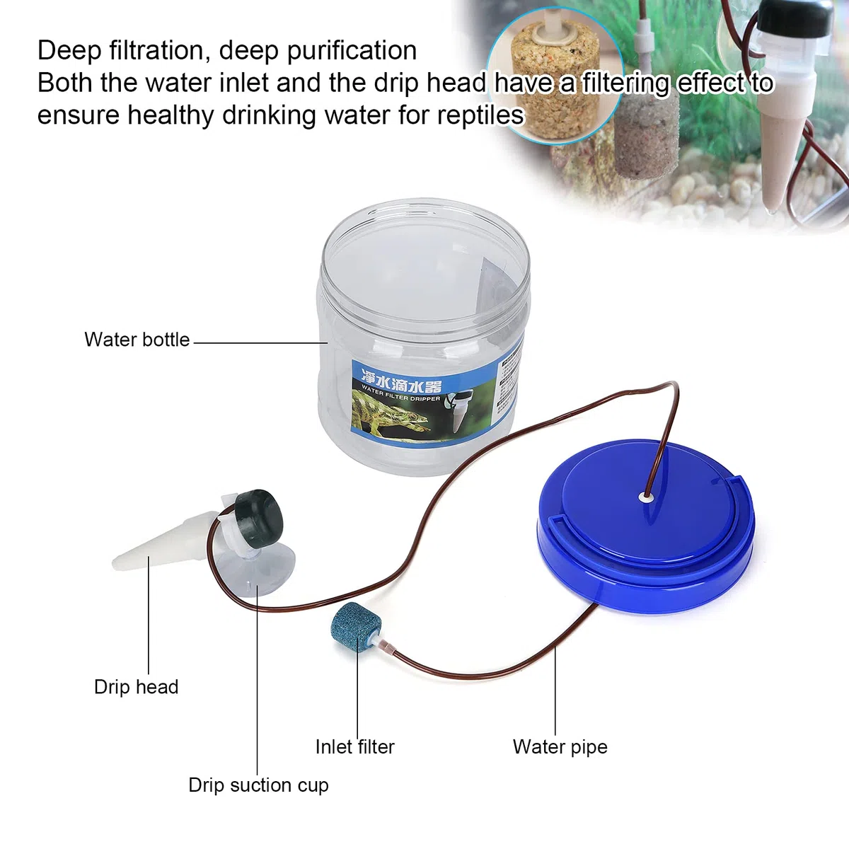 Shanrya Strumento di irrigazione Goccia, grilli vivi per rettili Gocciolatore d'acqua per rettili per gechi per camaleonti per altri piccoli rettili