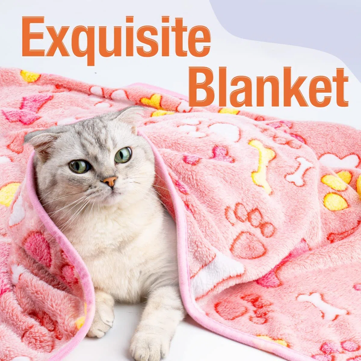 MICOOYO Coperta per cuccioli e gatti lavabile, confezione da 3 coperte per cani per gatti gattini cuccioli, coperte per animali domestici per cani di taglia piccola media grande (zampe ossa, M)