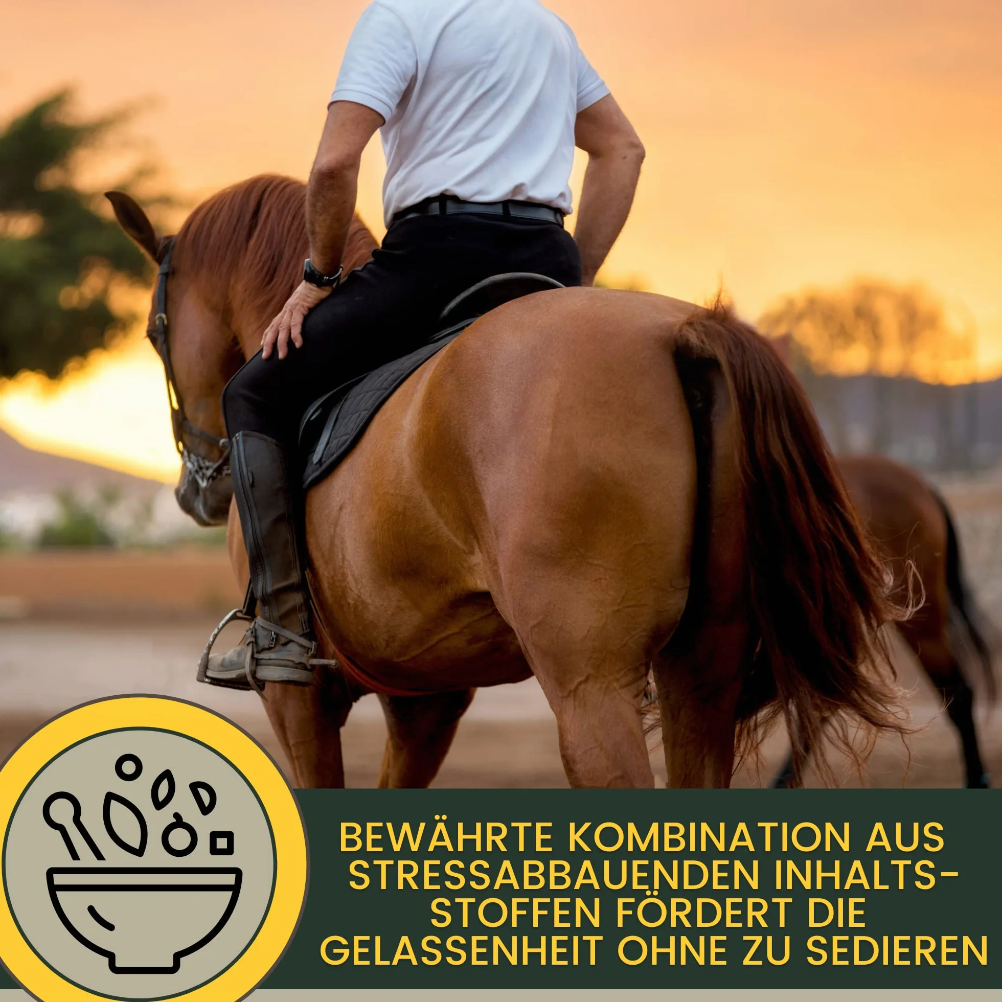 Magnesio Cavallo 3*30ml Pasta Calmante per Cavalli I Rilassamento Calma Booster I Anti-Stress Calmante Nervi I L-Triptofano I per Ansia Trasporto, Pasta di Magnesio Serenità Cavallo Nervoso Alta Dose