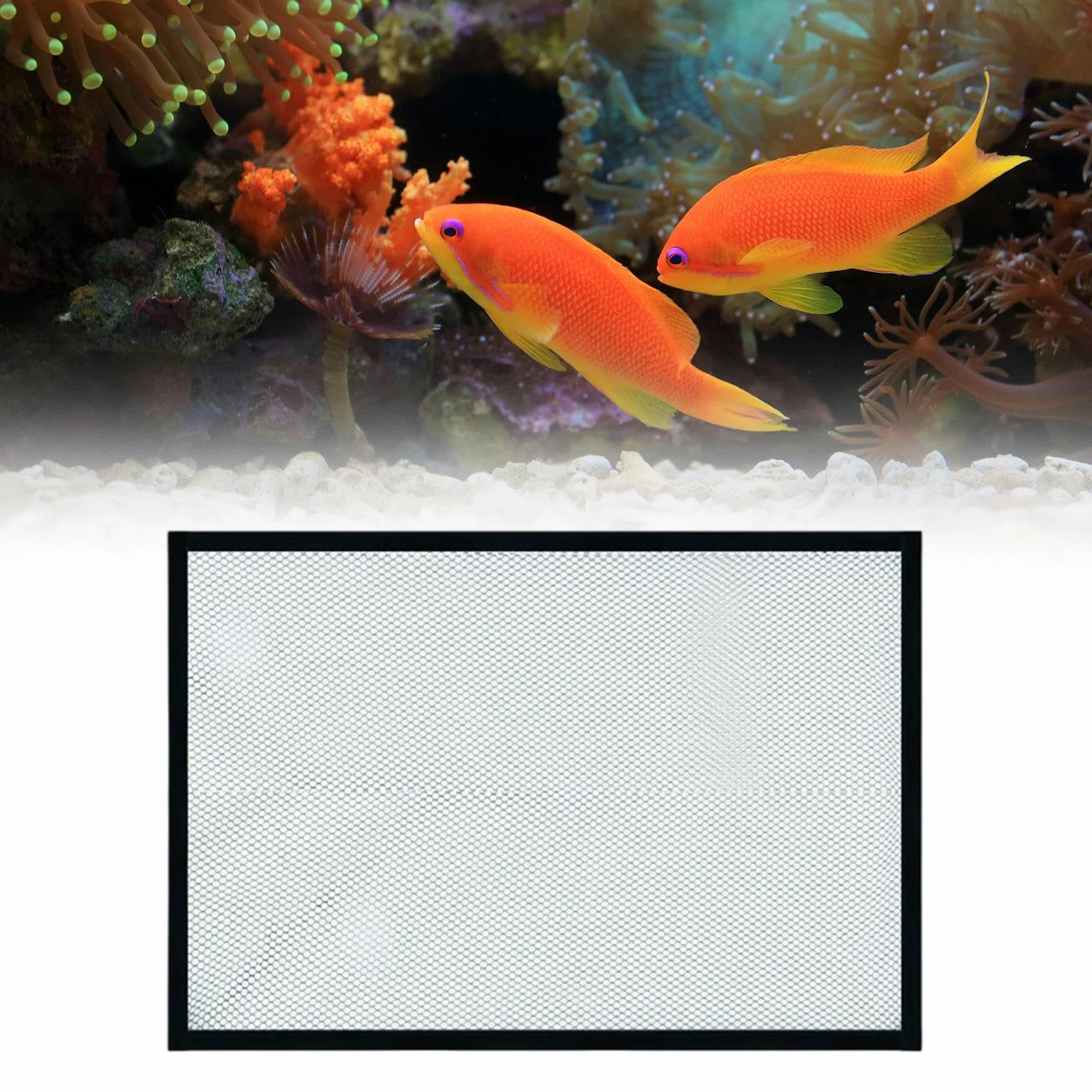 perfk Copertura per Rete Anti-Salto per Acquario Anti-Salto per Serbatoi Rete di Ricambio per Protezione Anti-Salto Accessorio Facile da installare, 60x30 cm