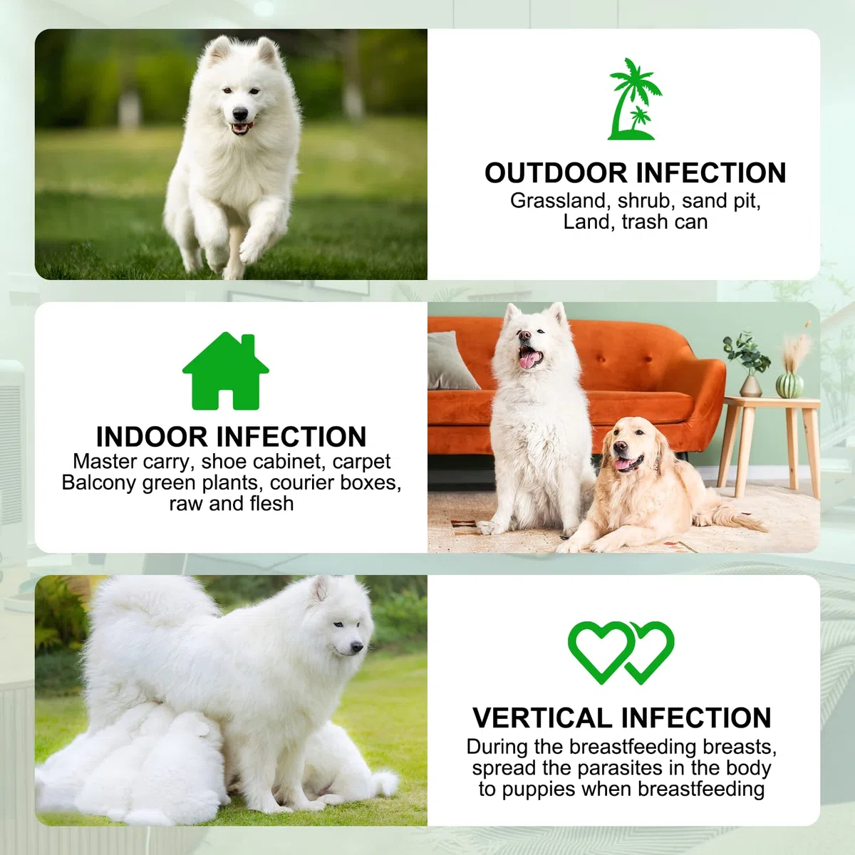 Antiparassitario Cani Pastiglie, Compresse Antipulci Per Cani, Prurito cutaneo, Equilibrio dei lieviti, Allergie, Sistema immunitario e Supporti per la Salute Generale