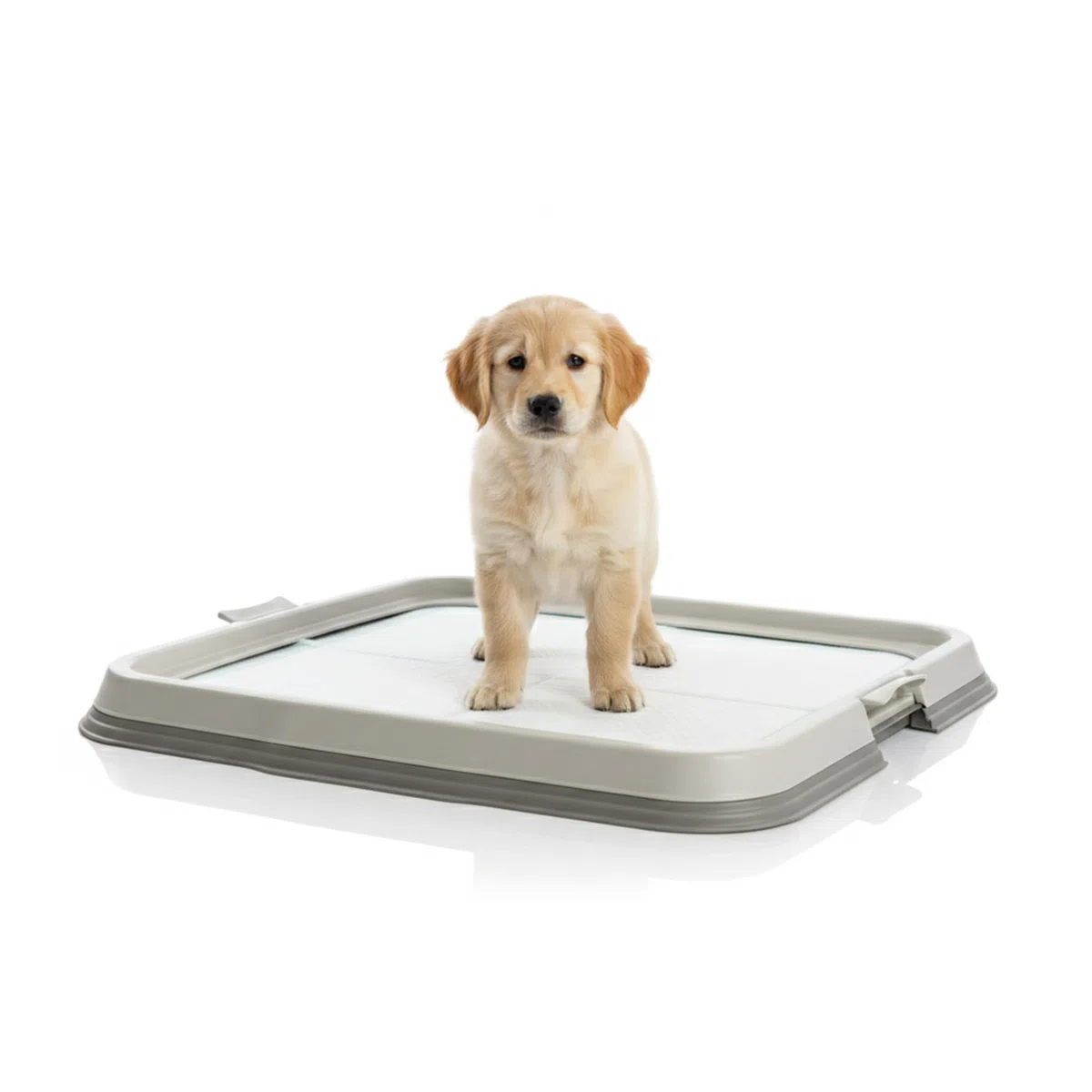 AqpetFriends Lettiera per Cani con Vassoio Porta Tappetini Assorbenti 60x60 cm, Base Antiscivolo per Traversine Igieniche, Ideale per Addestramento Cuccioli e Uso Domestico