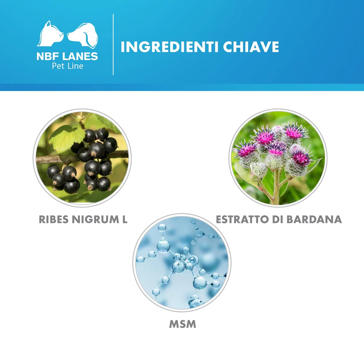 NBF Lanes | Ribes Pet Ultra Cane e Gatto, Pasta Appetibile 30 g, Supporto alla Rigenerazione di Pelle e Annessi