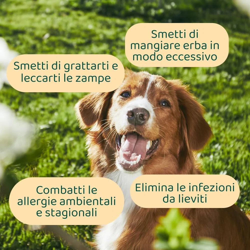 DogSuppy Sollievo Prurito Probiotici per Cani – Ferma Prurito, Grattamento, Leccamento delle Zampe, Allevia Allergie e Lieviti, 100% Naturale, Sostiene Intestino e Immunità, Carne Bovina