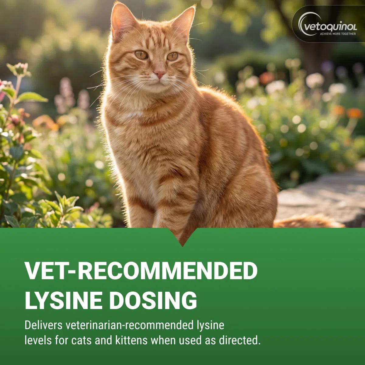 Enisyl Enisyl-F Paste For Cats 100ml by Vetoquinol