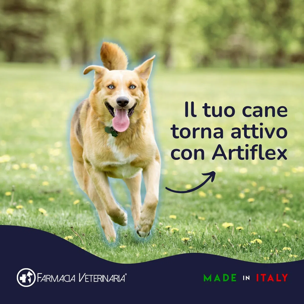 Farmacia Veterinaria Artiflex Integratore Cane Articolazioni in Polvere 500g - Condroprotettori Cane con Condroitina, Glucosamina, MSM, Vitamina C - Made in Italy