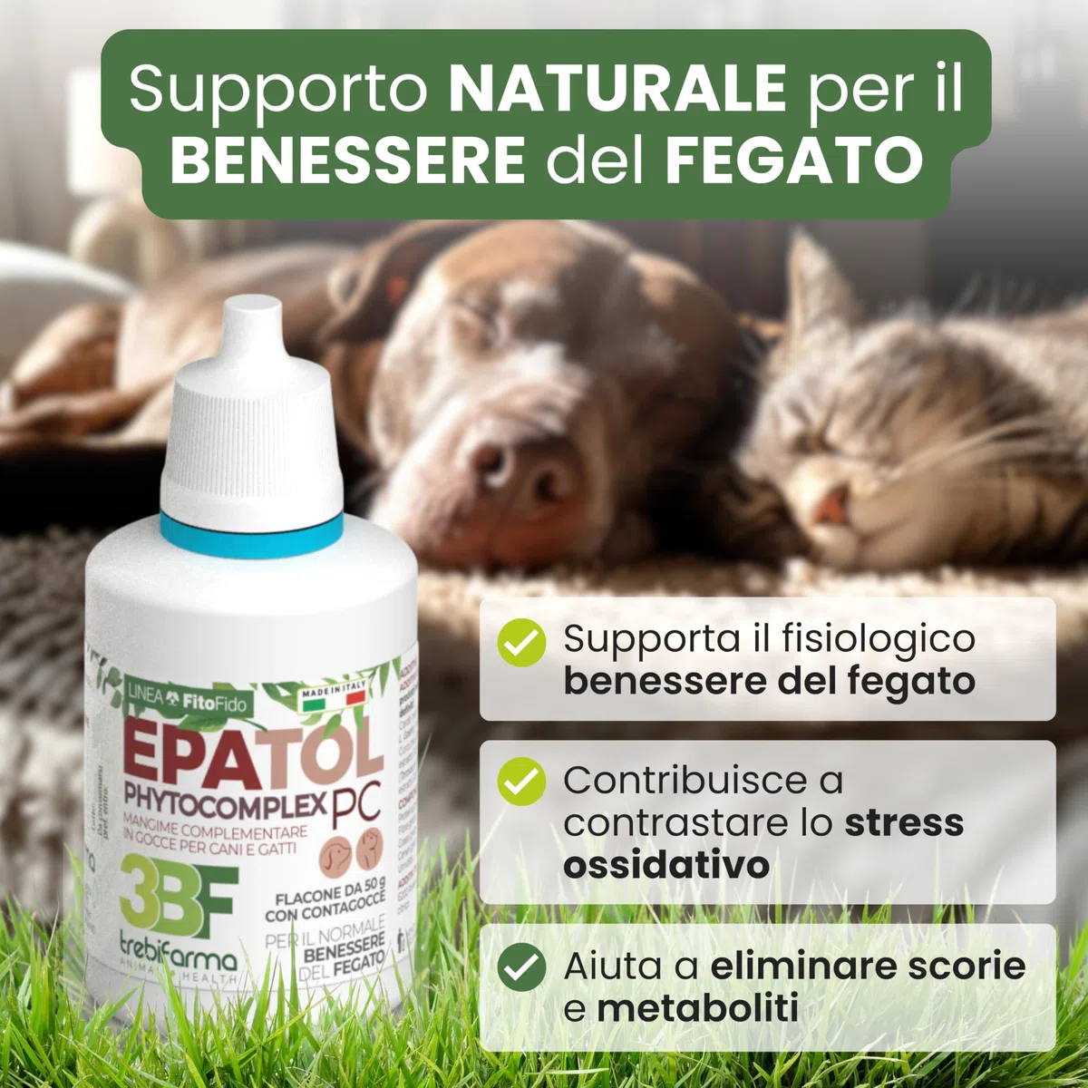 Trebifarma EPATOL PC Gocce per Il Benessere del Fegato e Le Naturali Funzioni Depurative - Mangime Complementare per Cani e Gatti con Cardo Mariano, Curcuma e Tarassaco - 30 ml
