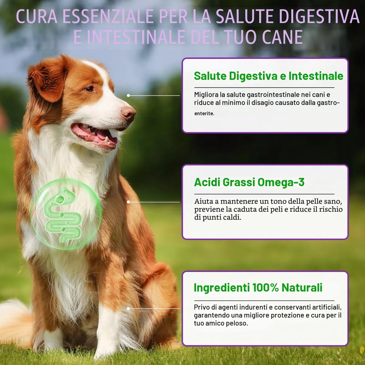 Allergie Relief Dog Treats,150 Pezzi Prurito per la Pelle del Cane Che Mastica, Smetti di Prurito, Leccare, Graffiare, Allergie Stagionali, per Tutte Le Razze e Dimensioni di Cani,Anatra