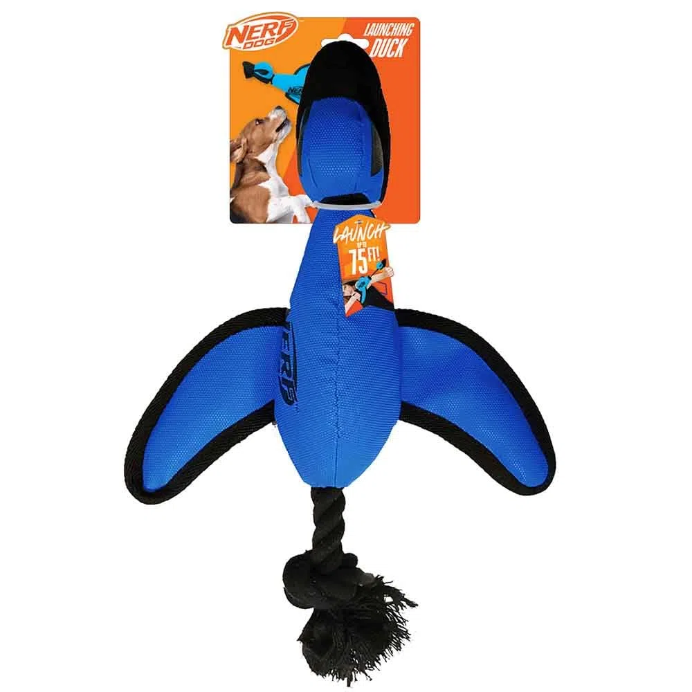 Nerf Dog Grande anatra lancio in nylon con design interattivo, blu (3473), per tutte le razze