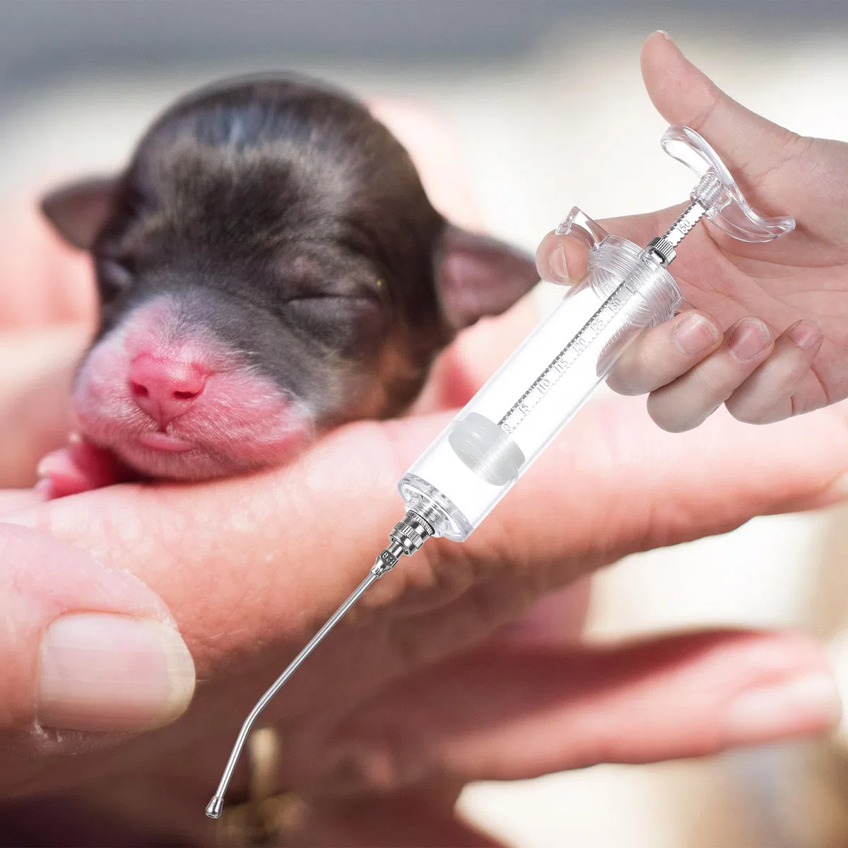 Set di siringhe per alimentazione manuale per bambini, da 20 ml, con 6 tubi curvi e cucchiaio in metallo in acciaio inox, per uccelli, pappagalli, piccoli animali domestici
