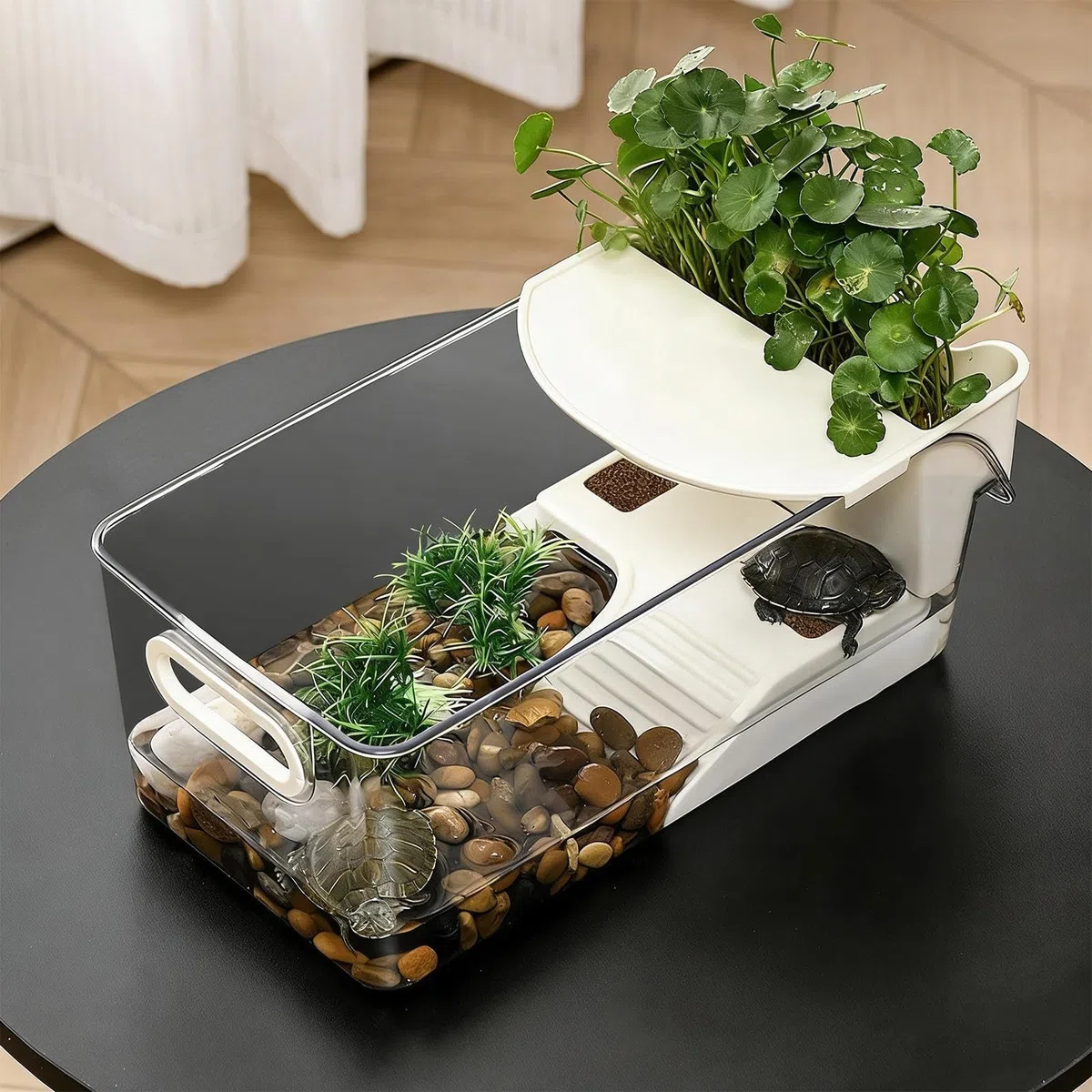 Acquario per tartarughe | Acquario multifunzionale - Ambiente naturale chiaro per rettili con area di bagno Necessità per animali domestici per rane, granchi, crostacei