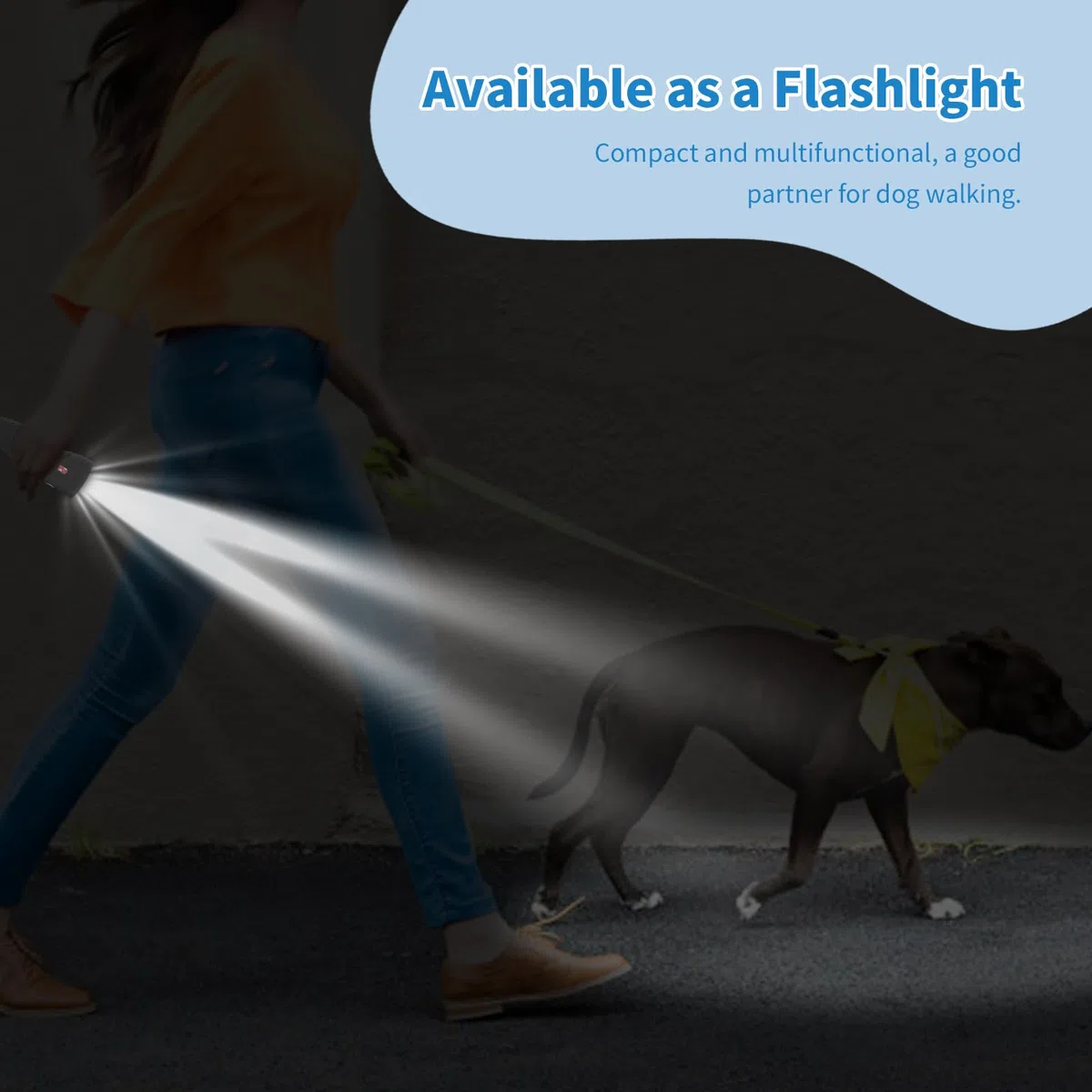 Ankrs Portatile Ultrasuoni Antiabbaio per Cani, Controllo dell'abbaio da Esterno, 9 Livello Regorabile, Portata 7,6M, USB Ricaricabile, Dispositivo di Addestramento Cani con Torcia LED (Bianco)