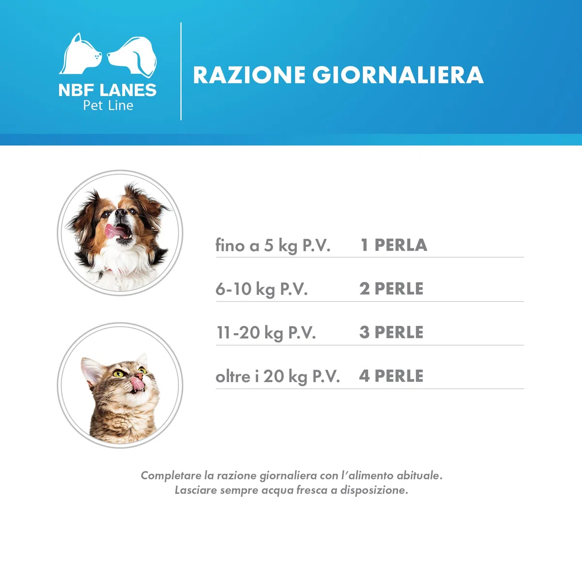 NBF Lanes | CorACTIV Cane e Gatto, 50 Perle Appetibili, per il Mantenimento della Normale Funzione Cardiaca di Cani e Gatti Adulti e Senior