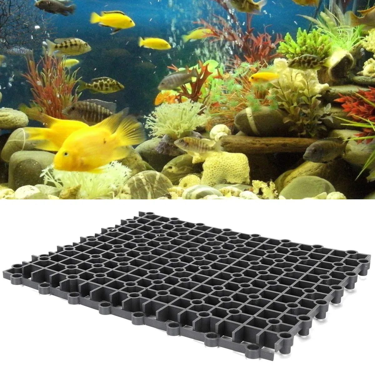 Pannello isolante per acquario, piastra filtrante multifunzione in PVC da 10 pezzi per acquari per pesci, gamberetti e tartarughe, resistente e durevole (Nera)