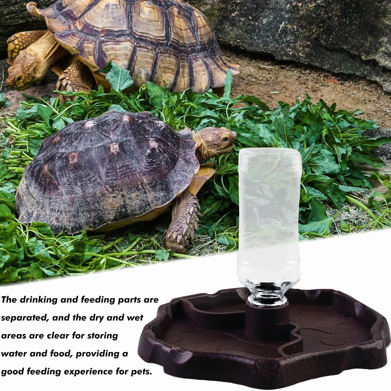 Vegena 2pcs Distributore Di Acqua Per Rettili 2 In 1 Ciotola Rettili Acqua Alimentatore, Ciotola Per Mangiatoia Per Tartarughe Ciotola Per Rettili Automatico Per Tartarughe Scorpioni Lucertole
