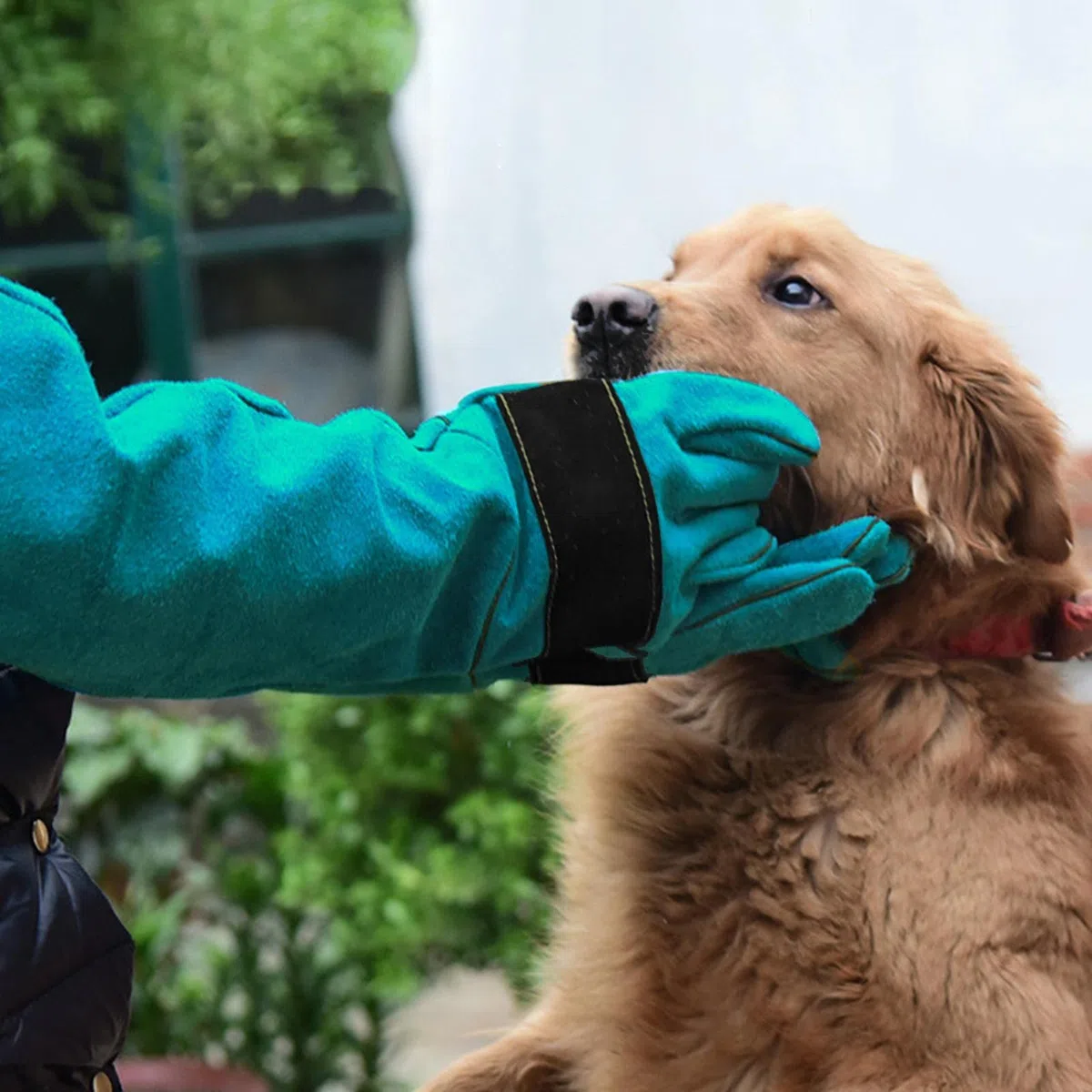 Guanti per la manipolazione degli animali, anti-morso e antigraffio, guanti da addestramento per cani, durevoli e impermeabili per animali domestici, da bagno, da alimentazione, da allenamento