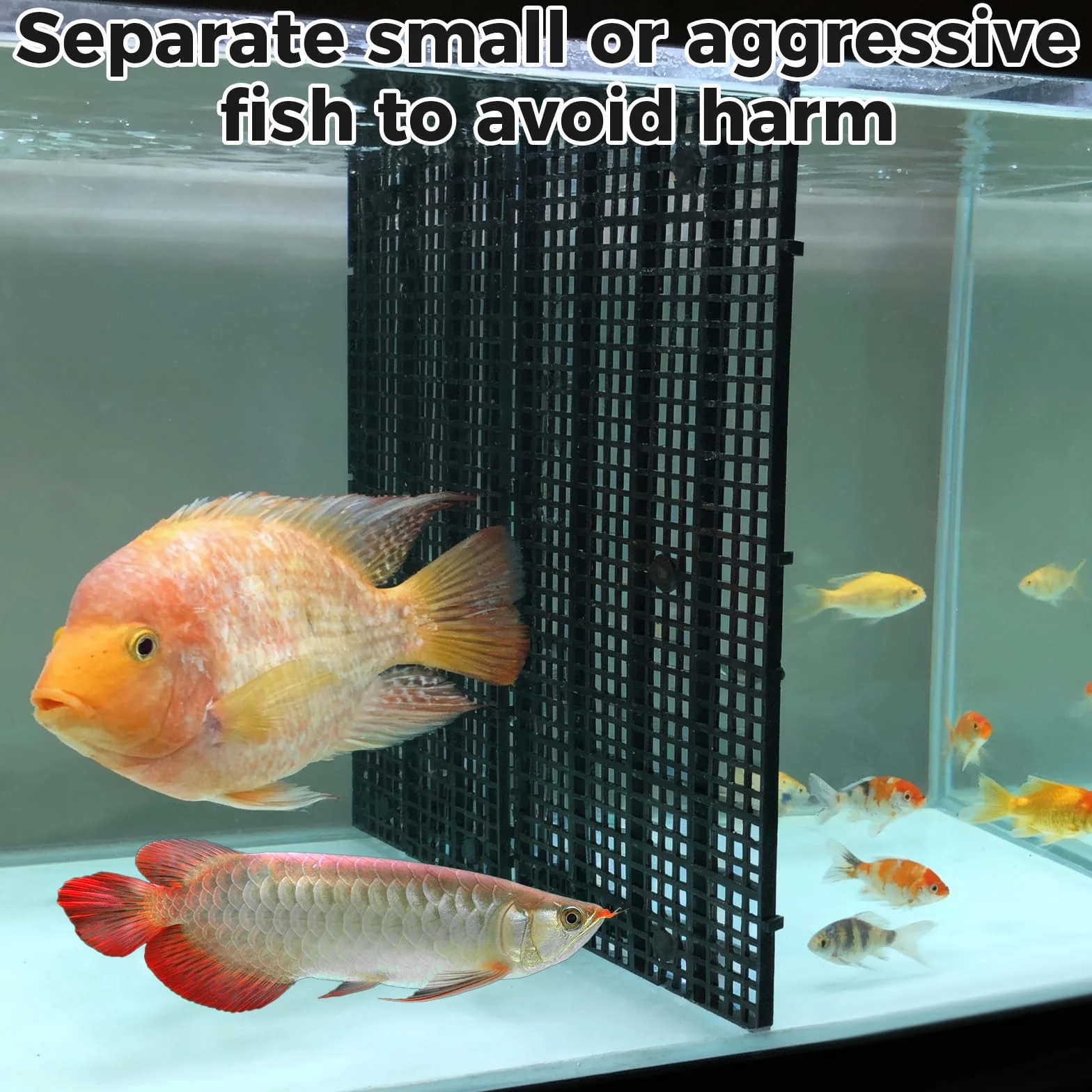 VOSSOT 8 pezzi Griglia in plastica per acquario 30 × 15 cm con 48 staffe e 2 ventose, sottofondo in plastica per acquario, accessori per acquario, tappetino per acquascaping e protezione del pavimento