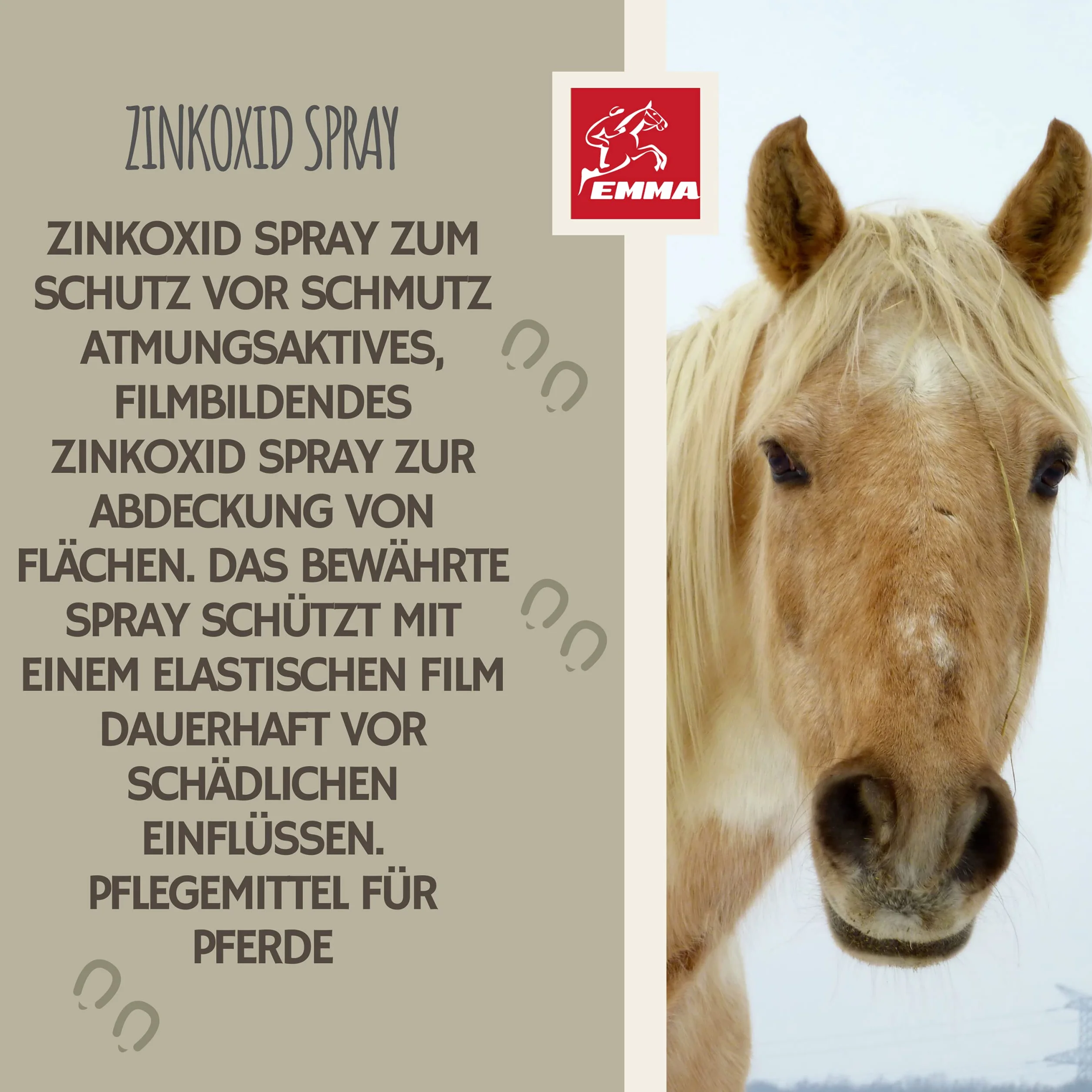 EMMA Zinco Spray Cavallo I Unguento Spray Zinco I Ossido di Zinco Spray per la Protezione delle ferite Cane Gatto I Kit di Pronto Soccorso Cane I Zinco Spray Impermeabile e Traspirante 2 * 200ml