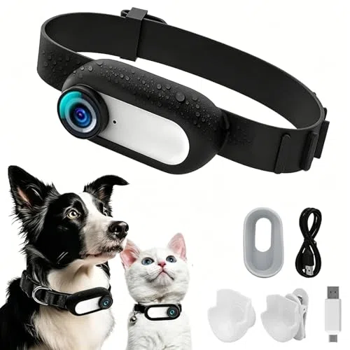 2024 Nuova Fotocamera per Collare per Gatti e Animali, Grandangolare 1080P 170°, Regolabile Ricaricabile USB HD, Autonomia: 2-3 ore