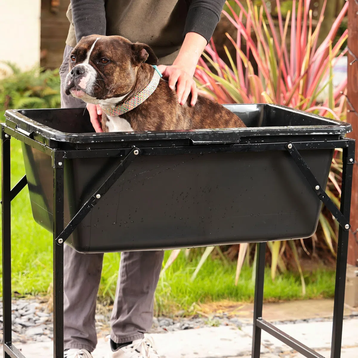 Vasca da bagno con supporto pieghevole in metallo, valvola di scarico per cani e gatti inclusa, portatile, piscina per animali domestici con rubinetto, piscina in plastica per cani, 4 misure