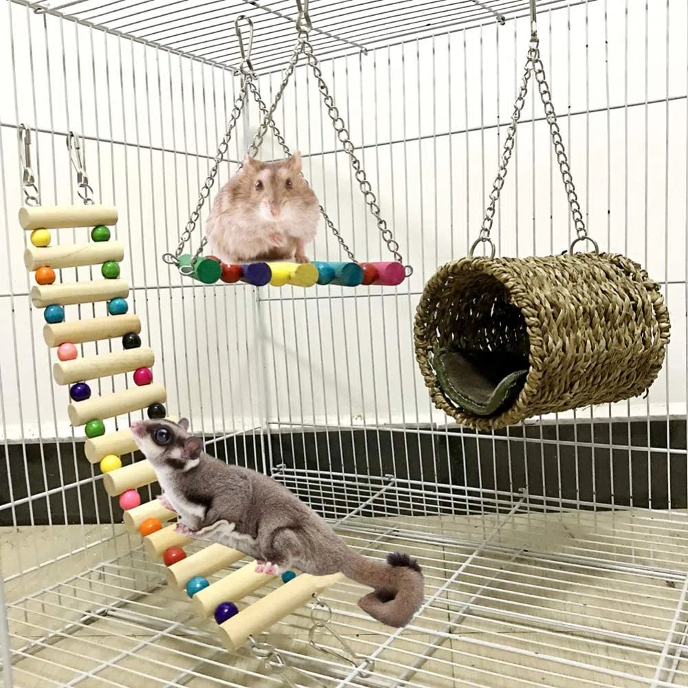Giochi per Piccoli Animali, 3 Pezzi Naturale Giocattoli per Criceti Scala Altalena Amaca Per Criceto petauro dello zucchero Gerbil Degu Furetti Pappagalli Rompi Noia