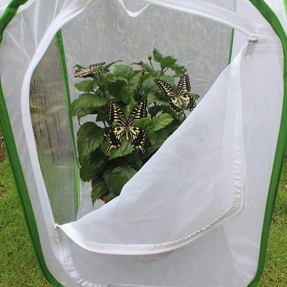 Gabbia per Insetti in Rete, Tenda per Serra per Piante, Gabbia per Habitat per Insetti e Farfalle Gabbia per Allevamento di Insetti con Chiusura a Cerniera
