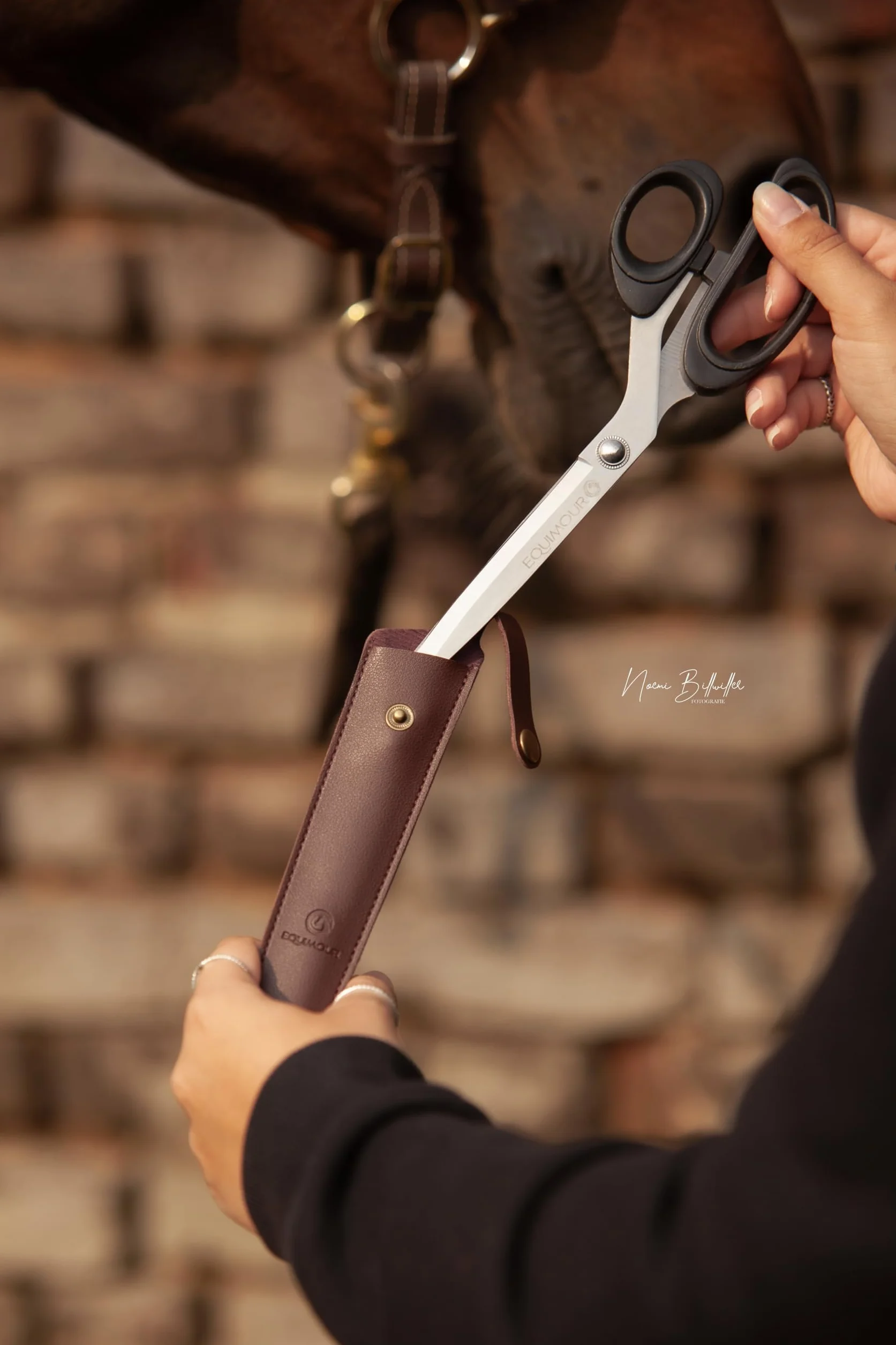 Set di forbici per cavalli, forbici per coda e criniera con custodia, lame affilate in acciaio inox, ergonomiche, ideali per la cura della coda e della criniera, incluso