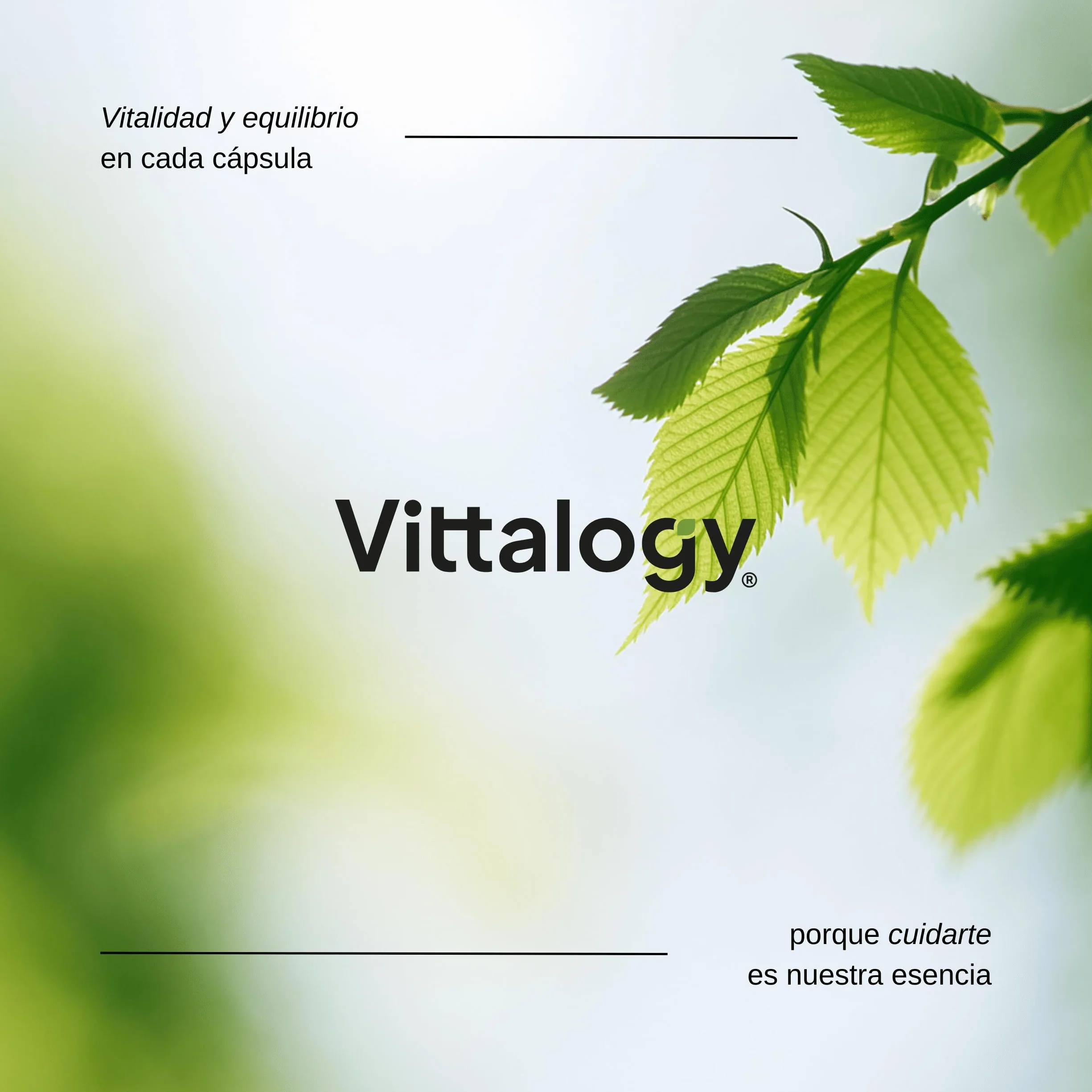 Condroprotettore per gatti. Antinfiammatorio naturale con collagene, condroitina, ialuronico e curcuma. Integratore alimentare per fianchi, articolazioni e cartilagini - 120 capsule