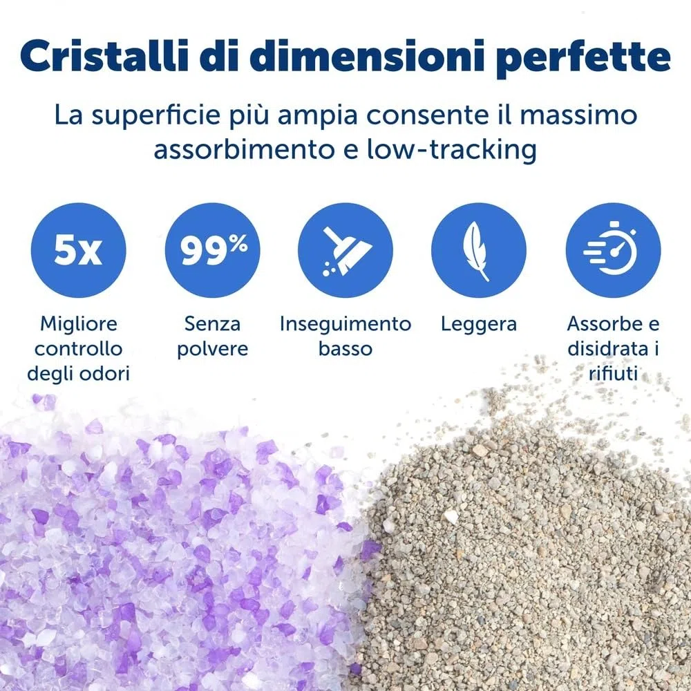 PetSafe - Lettiera per Gatti Premium Non Agglomerante Cristalli ScoopFree - Controllo degli Odori, Bassa Dispersione, Senza Polvere - Lavanda, Confezione da 2