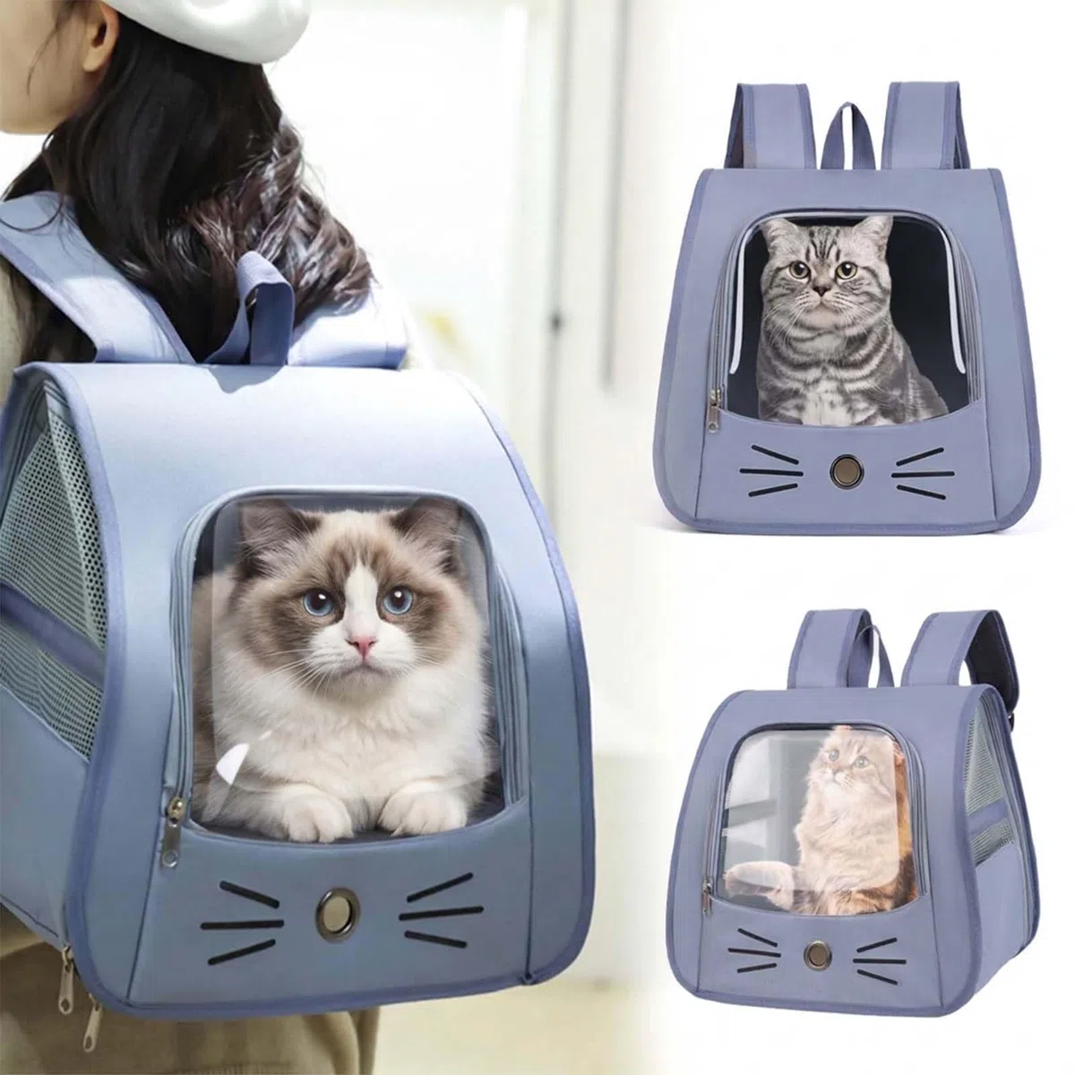 Zaino per Cani e Gatti,Zaino per Animali Domestici,Trasportino Zaino per Cani Gatti,Zaino Gatto per Viaggo e Campeggio,Trasportino Gatto,Per piccoli animali domestici come gatti e cani (blu)