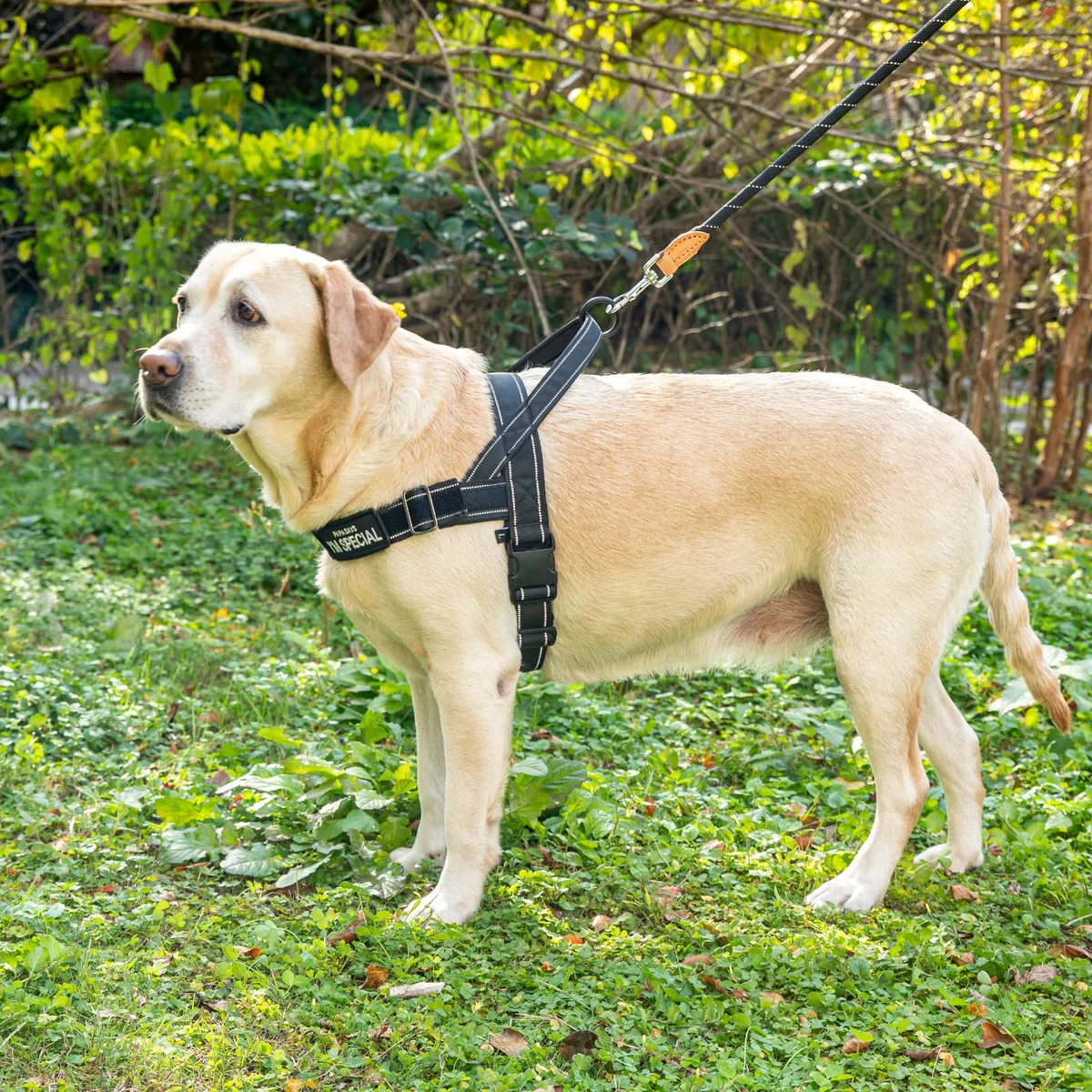 Imbracatura regolabile per cani piccoli, medi e grandi, imbracatura riflettente a prova di fuga, senza strappi, marrone, M