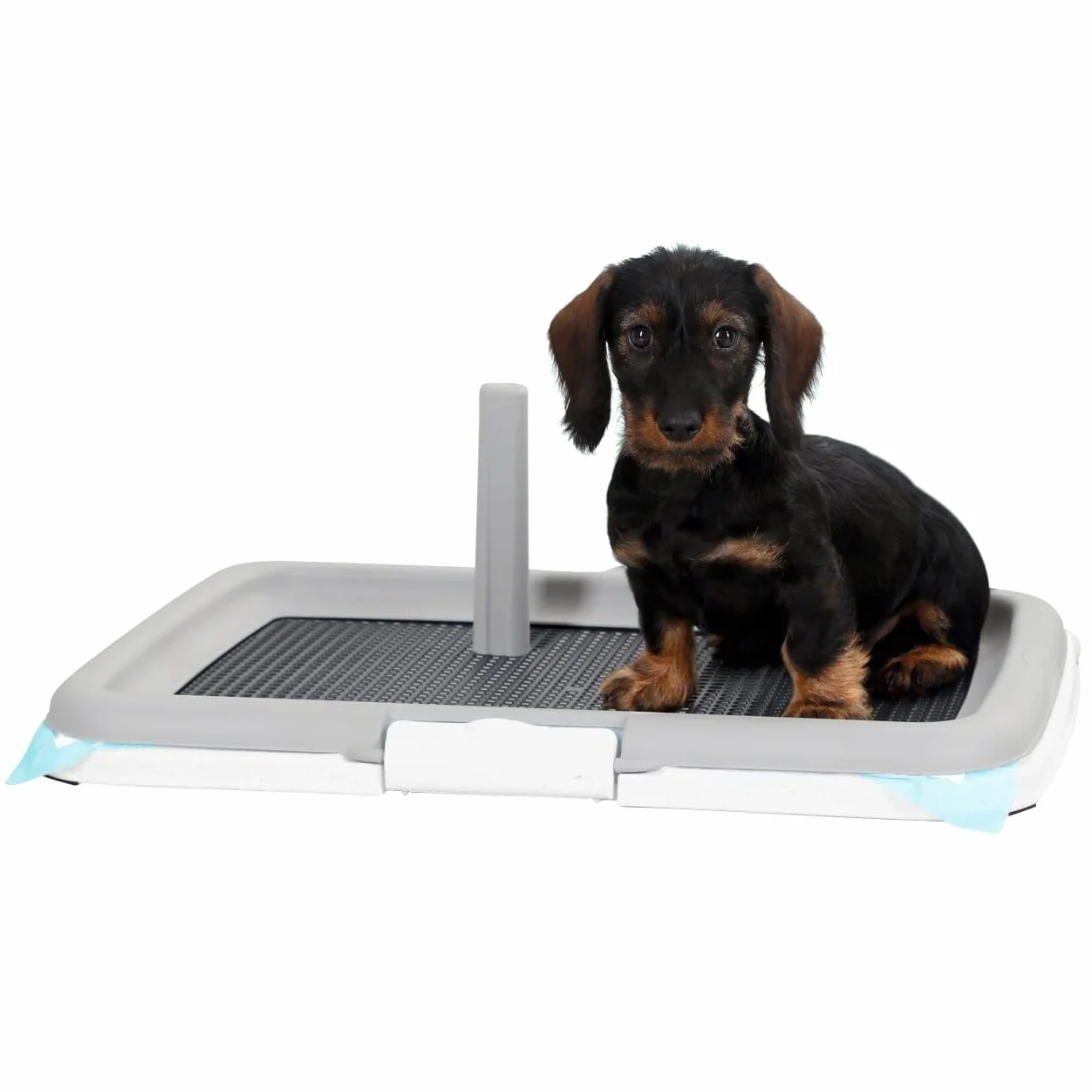 Kerbl 81990 Welpentoilette Puppy Training Set, 60 x 40 x 4 cm