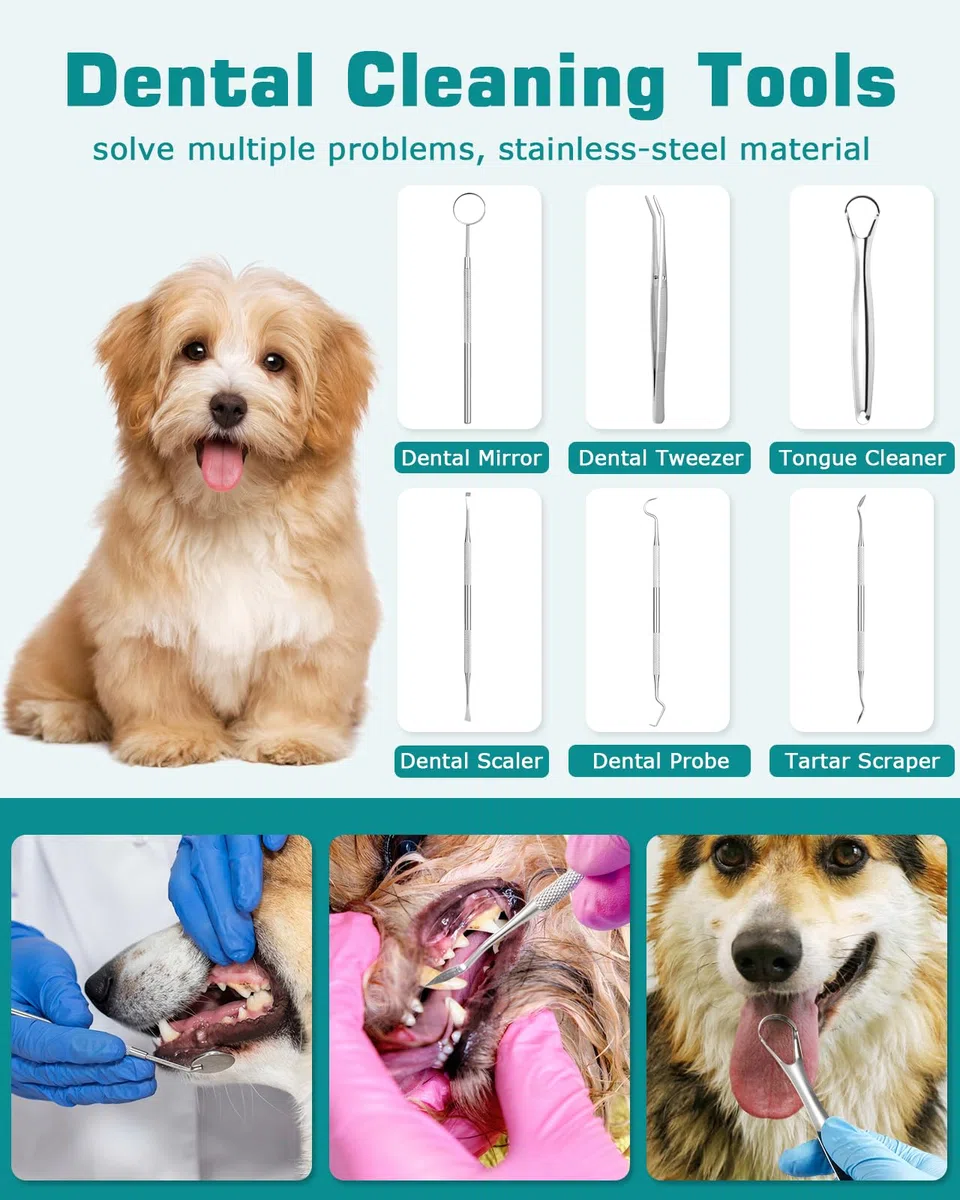 Kit Pulizia Denti Cane 14-in-1 - Spazzolino Ultrasuoni Cani con Luce LED, 5 Modalità di Spazzolino Denti Cane, USB Ricaricabile Spazzolino per Cani