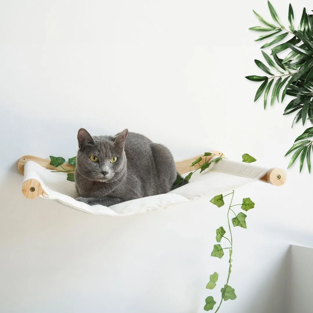 Amaca a parete per gatti robusta e confortevole - Lo scaffale porta fino a 12 kg - ideale per massimizzare lo spazio