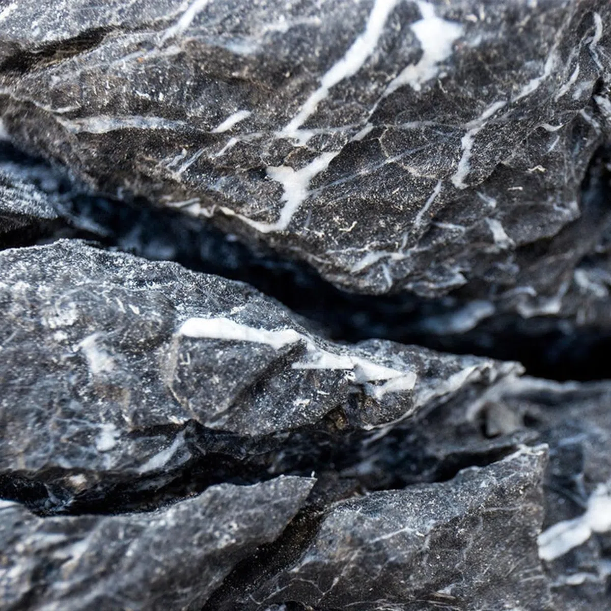 Seryu Dark Rocce Naturali per Acquario e Nano Garden - Mix Irregolare per Layout Selvatico e Naturale, Confezione da 500/700gr