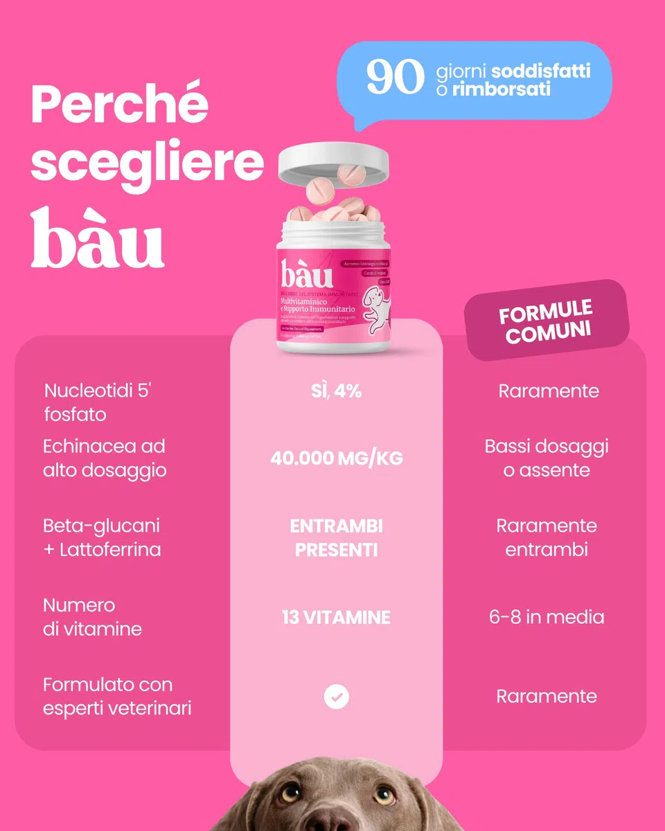 Bau Vitamine Cane per Supporto Immunitario in Compresse, Multivitaminico Difese Immunitarie, Energia e Recupero, Vitamine Cani per Dieta BARF, Post-Convalescenza, Vitamine per Cani Anziani -60cps