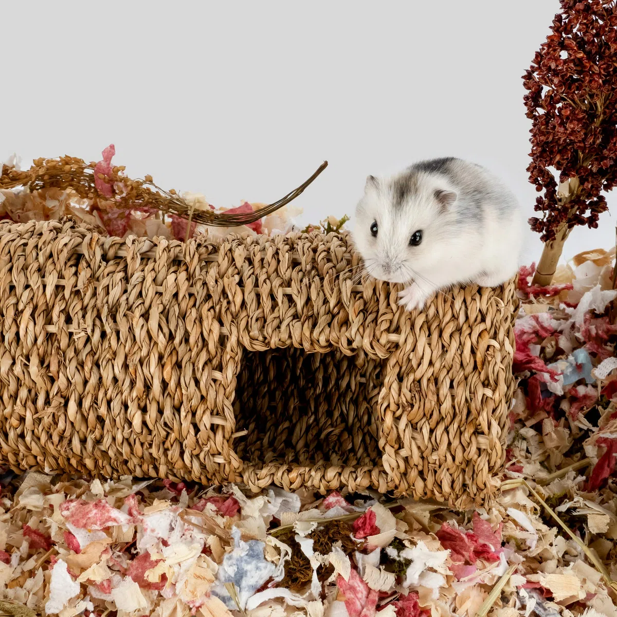 Niteangel Tunnel creativo e componibile per criceti, fai da te e costruisci una tana a tubo unica come nascondiglio per animali di piccole dimensioni come criceti, topi, gerbilli (19,1 cm L - HC)
