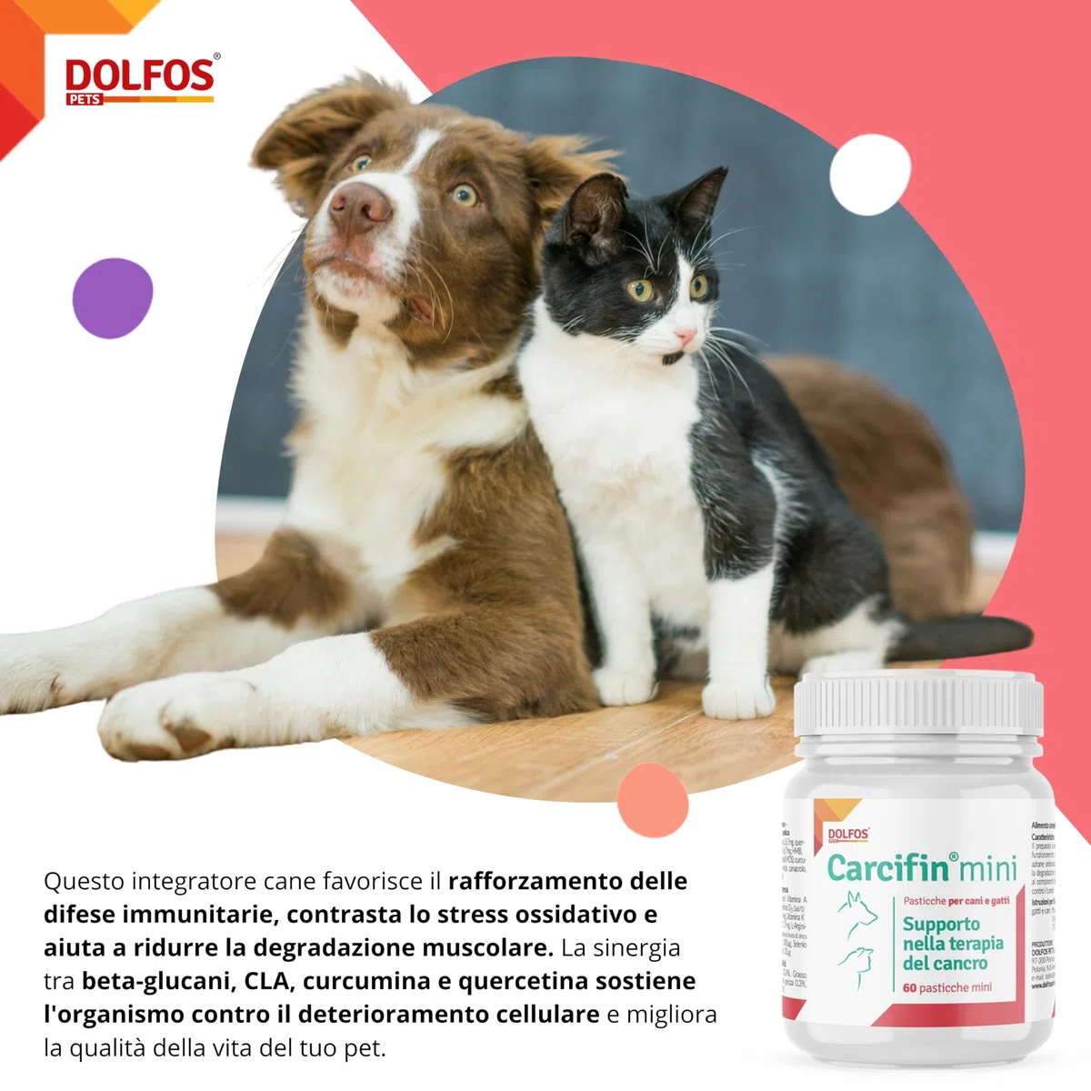 Dolfos Carcifin 60 Mini Compresse, Integratori per Cani Supporto Oncologico con Curcumina e Quercetina, Integratori per Cani Terapia Antitumorale e Sistema Immunitario