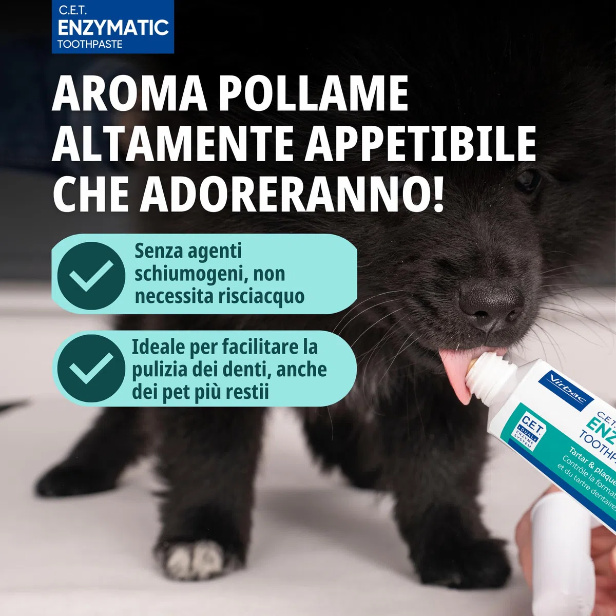 Virbac C.E.T. Kit per l'igiene Orale 1 Versione Originale