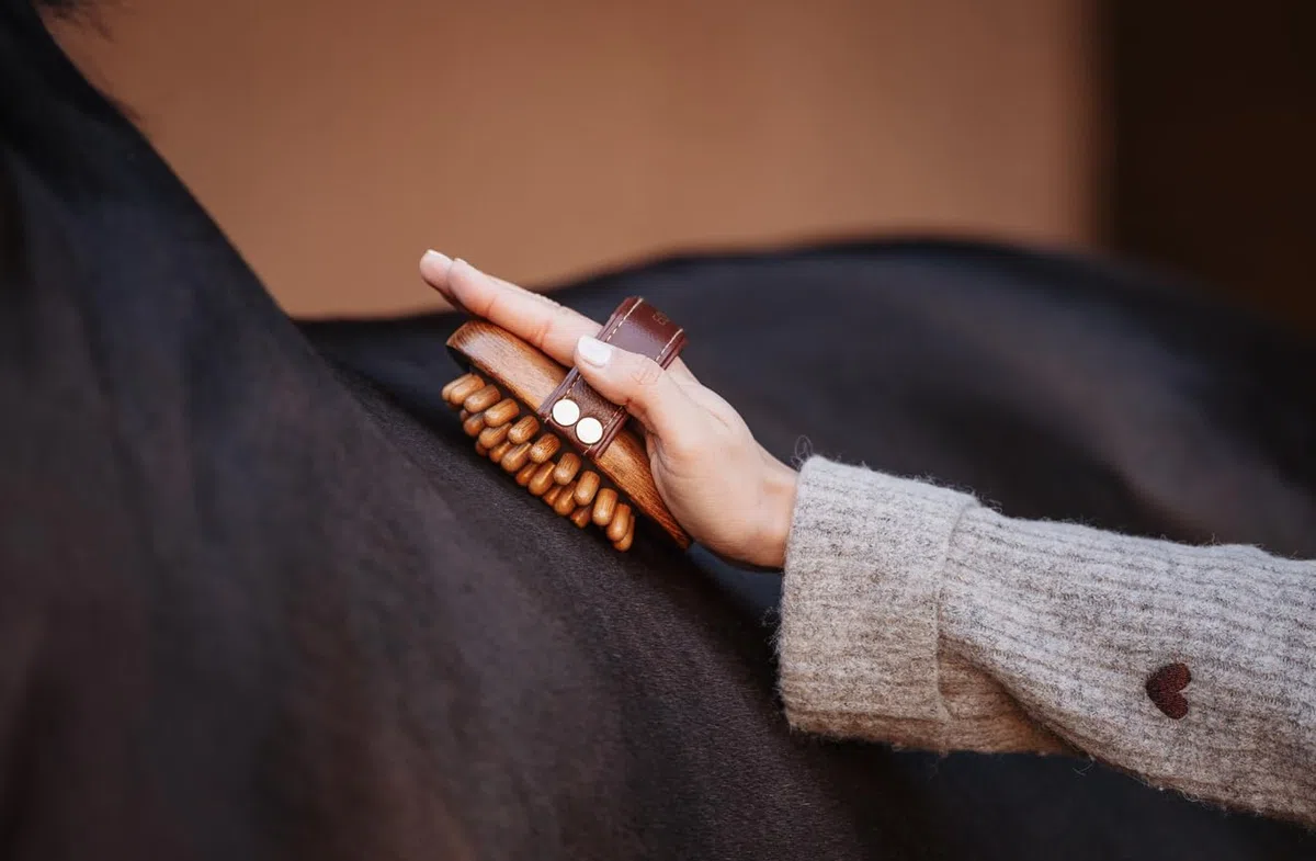 Striglia massaggiante – in legno con nodi in legno e cuscinetto in gomma flessibile | Massaggio efficace, stimolazione circolazione e cura benessere per cavalli
