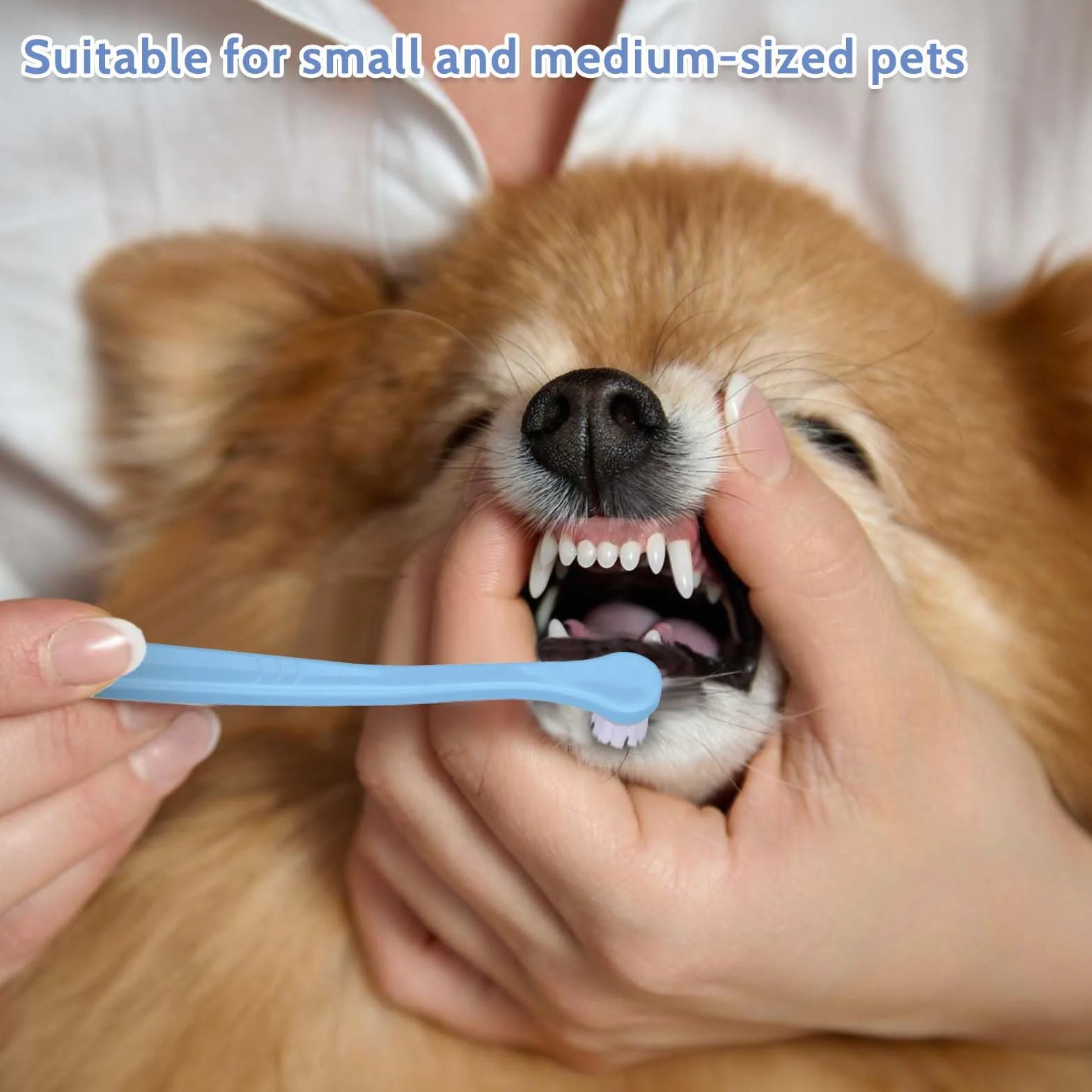 Confezione da 2 spazzolini da denti per gatti, spazzolino da denti per animali domestici, mini testina morbida per cani, kit per pulizia profonda per cuccioli, gattini, cani