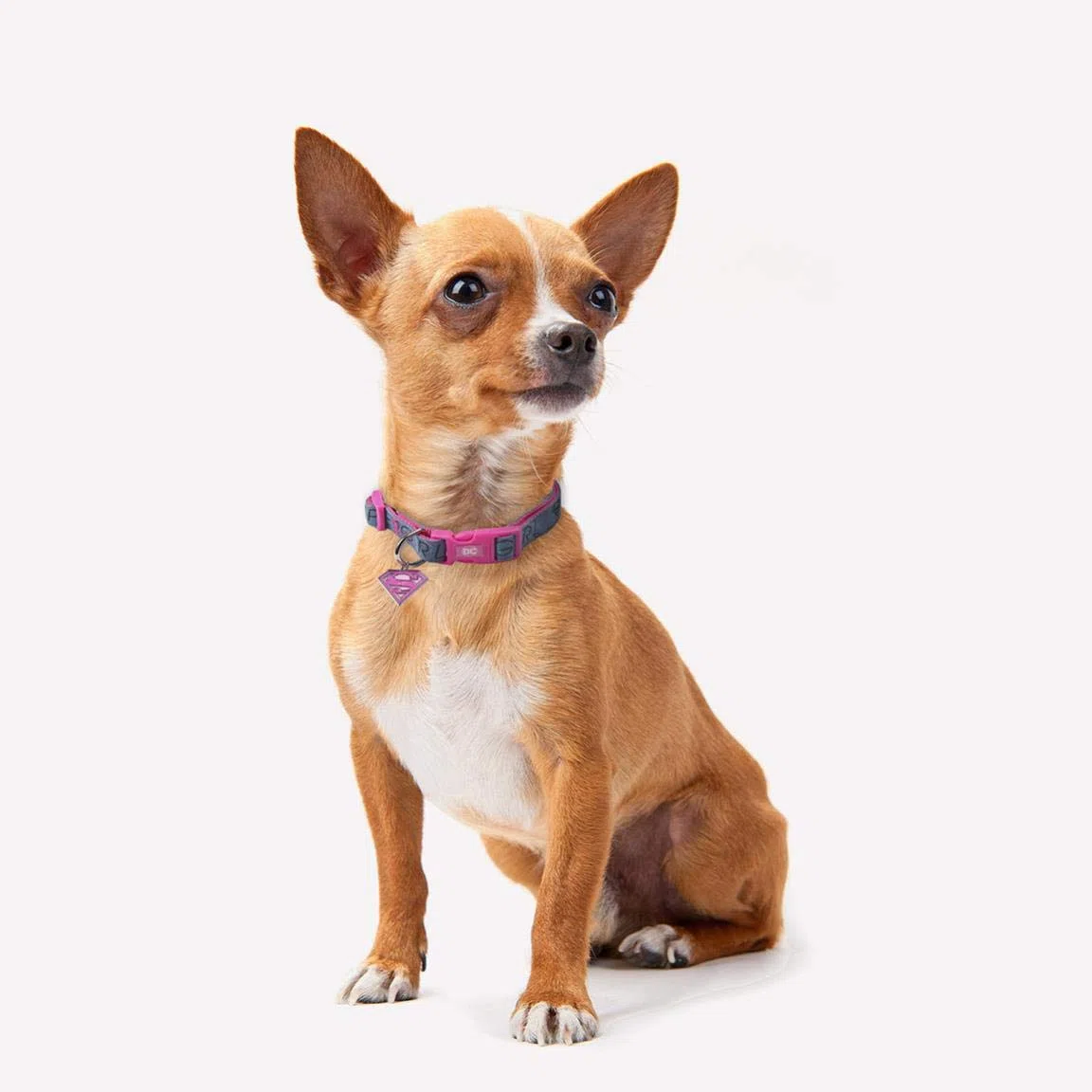 Super Girl® - Collana per cani piccoli - Licenza ufficiale Super Girl®
