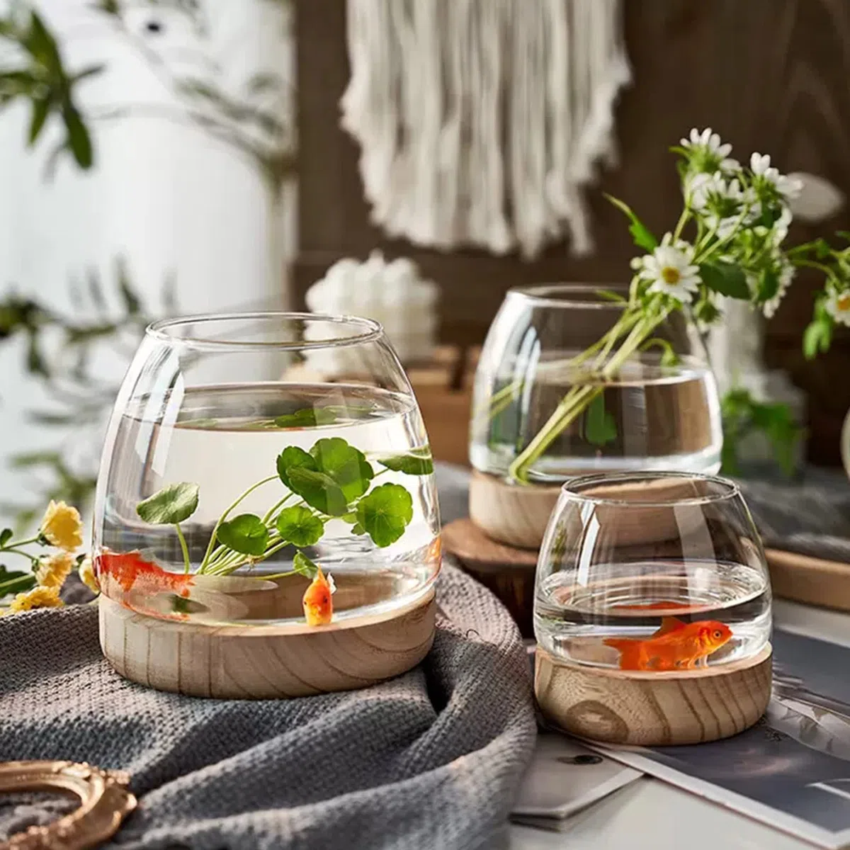 Mini Acquario in Vetro - Piccolo da Ufficio, Vaso Idroponico - Terrario Ecologico - Vaso da Fiori per Piante Betta Pesce Rosso - A