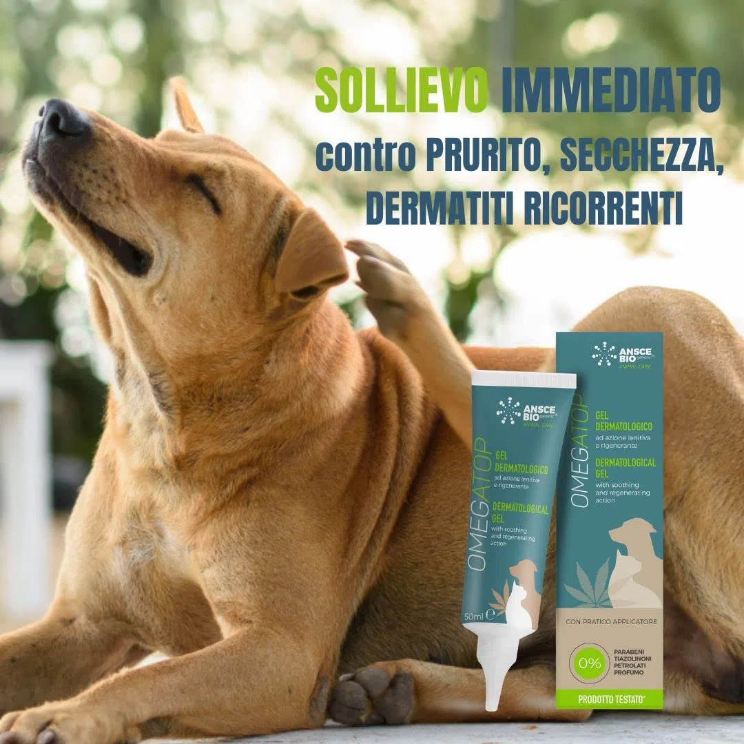 OMEGATOP Gel Dermatite Cane per Prurito, Rossore e Secchezza | 50ml | Lenitivo ed idratante anche per gatti, con acido ialuronico e ceramidi per la pelle. Formula ad applicazione facile e rapida