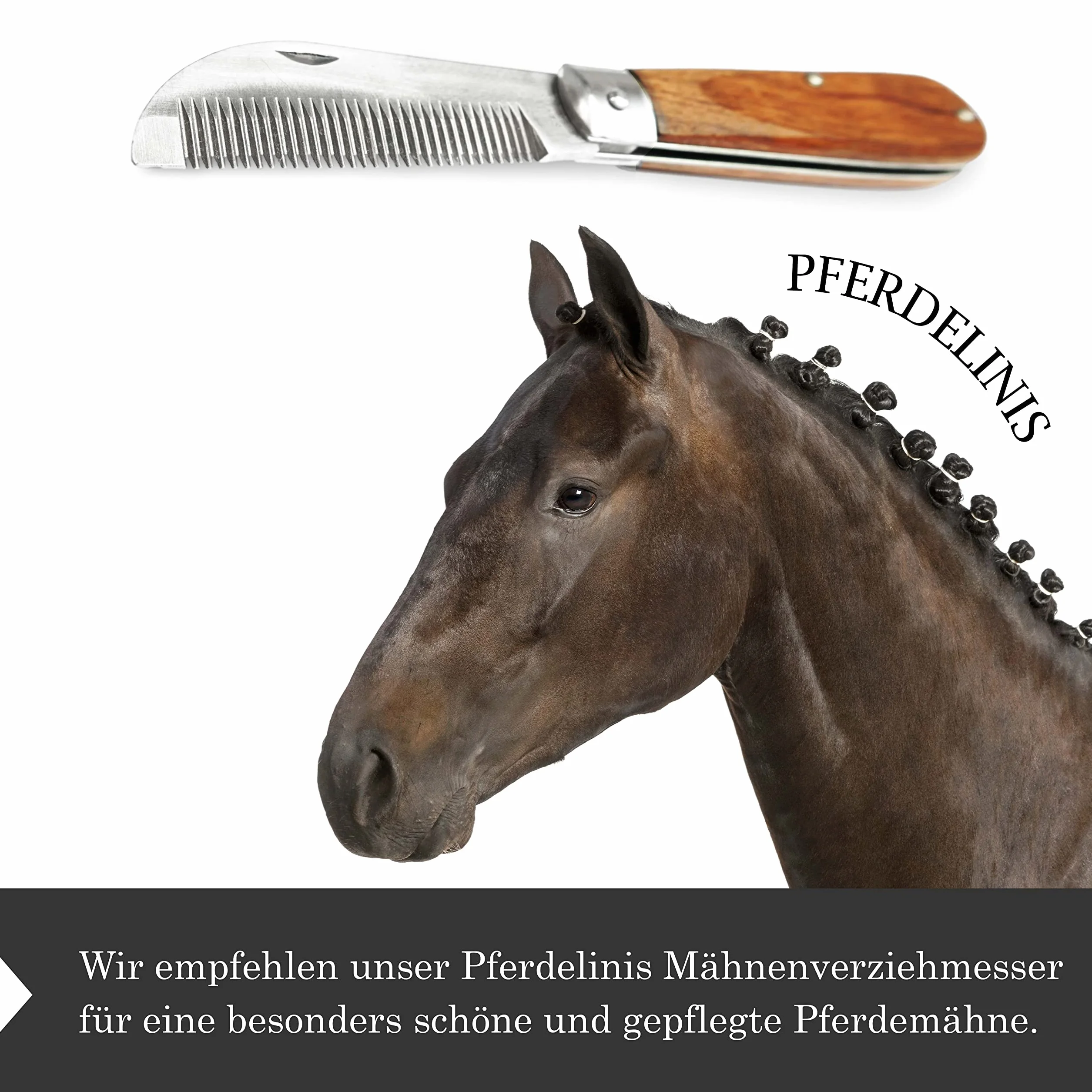 Pferdelinis Coltello da criniera per cavalli, lunghezza 18 cm, pettine per criniera con manico in legno, pieghevole, in acciaio inox (2)